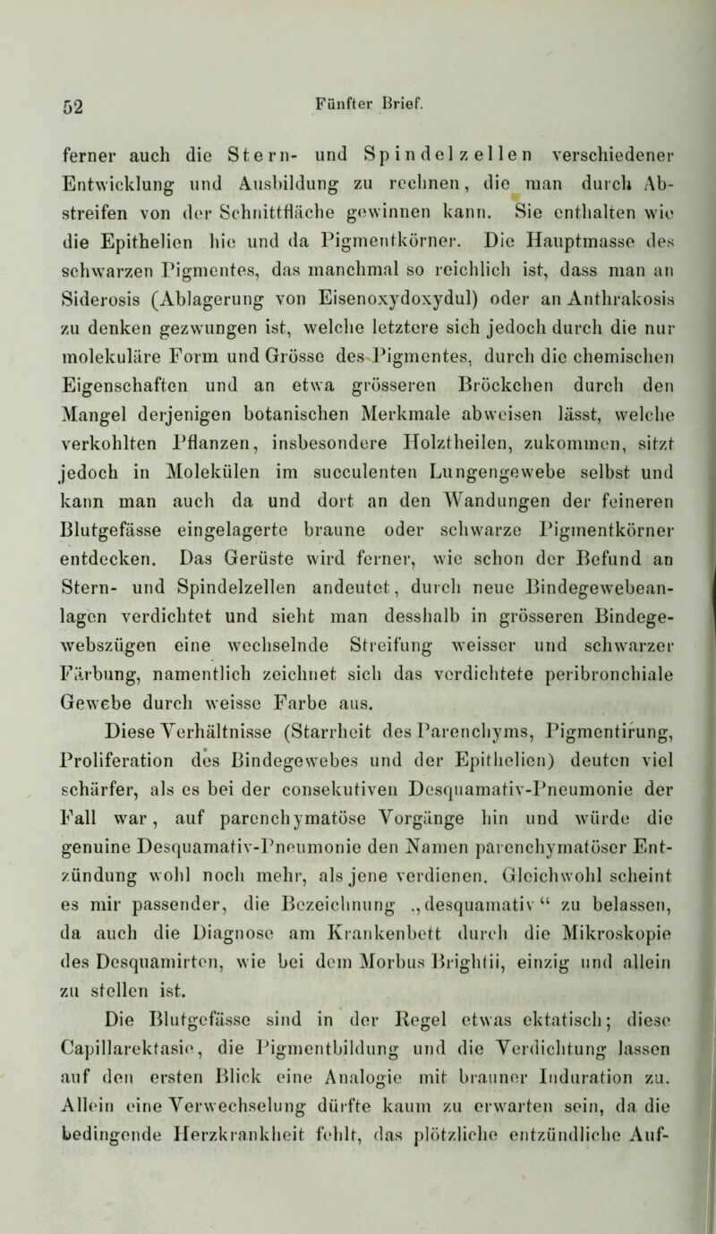 ferner auch die Stern- und Spindel zellen verschiedener Entwicklung und Ausbildung zu rechnen, die man durch Ab- streifen von der Schnittfläche gewinnen kann. Sie enthalten wie die Epithelien hie und da Pigmentkörner. Die Hauptmasse des schwarzen Pigmentes, das manchmal so reichlich ist, dass man an Siderosis (Ablagerung von Eisenoxydoxydul) oder an Anthrakosis zu denken gezwungen ist, welche letztere sich jedoch durch die nur molekulare Form und Grösse des Pigmentes, durch die chemischen Eigenschaften und an etwa grösseren Bröckchen durch den Mangel derjenigen botanischen Merkmale abweisen lässt, welche verkohlten Pflanzen, insbesondere ITolztheilen, zukommen, sitzt jedoch in Molekülen im succulenten Lungengewebe selbst und kann man auch da und dort an den Wandungen der feineren Blutgefässe eingelagerte braune oder schwarze Pigmentkörner entdecken. Das Gerüste wird ferner, wie schon der Befund an Stern- und Spindelzellen andeutet, durch neue Bindegewebean- lagen verdichtet und sieht man desshalb in grösseren Bindege- webszügen eine wechselnde Streifung weisser und schwarzer Färbung, namentlich zeichnet sich das verdichtete peribronchiale Gewebe durch weisse Farbe aus. Diese Verhältnisse (Starrheit des Parenchyms, Pigmentirung, Proliferation des Bindegewebes und der Epithelien) deuten viel schärfer, als es bei der consekutiven Desquamativ-Pneumonie der Fall war, auf parenchymatöse Vorgänge hin und würde die genuine Desquamativ-Pneumonie den Namen parenchymatöser Ent- zündung wohl noch mehr, als jene verdienen. Gleichwohl scheint es mir passender, die Bezeichnung ., desquamativ u zu belassen, da auch die Diagnose am Krankenbett durch die Mikroskopie des Desquamirten, wie bei dem Morbus Brightii, einzig und allein zu stellen ist. Die Blutgefässe sind in der Regel etwas ektatisch; diese Capillarektasie, die Pigmentbildung und die Verdichtung lassen auf den ersten Blick eine Analogie mit brauner Induration zu. Allein eine Verwechselung dürfte kaum zu erwarten sein, da die bedingende Herzkrankheit fehlt, das plötzliche entzündliche Auf-