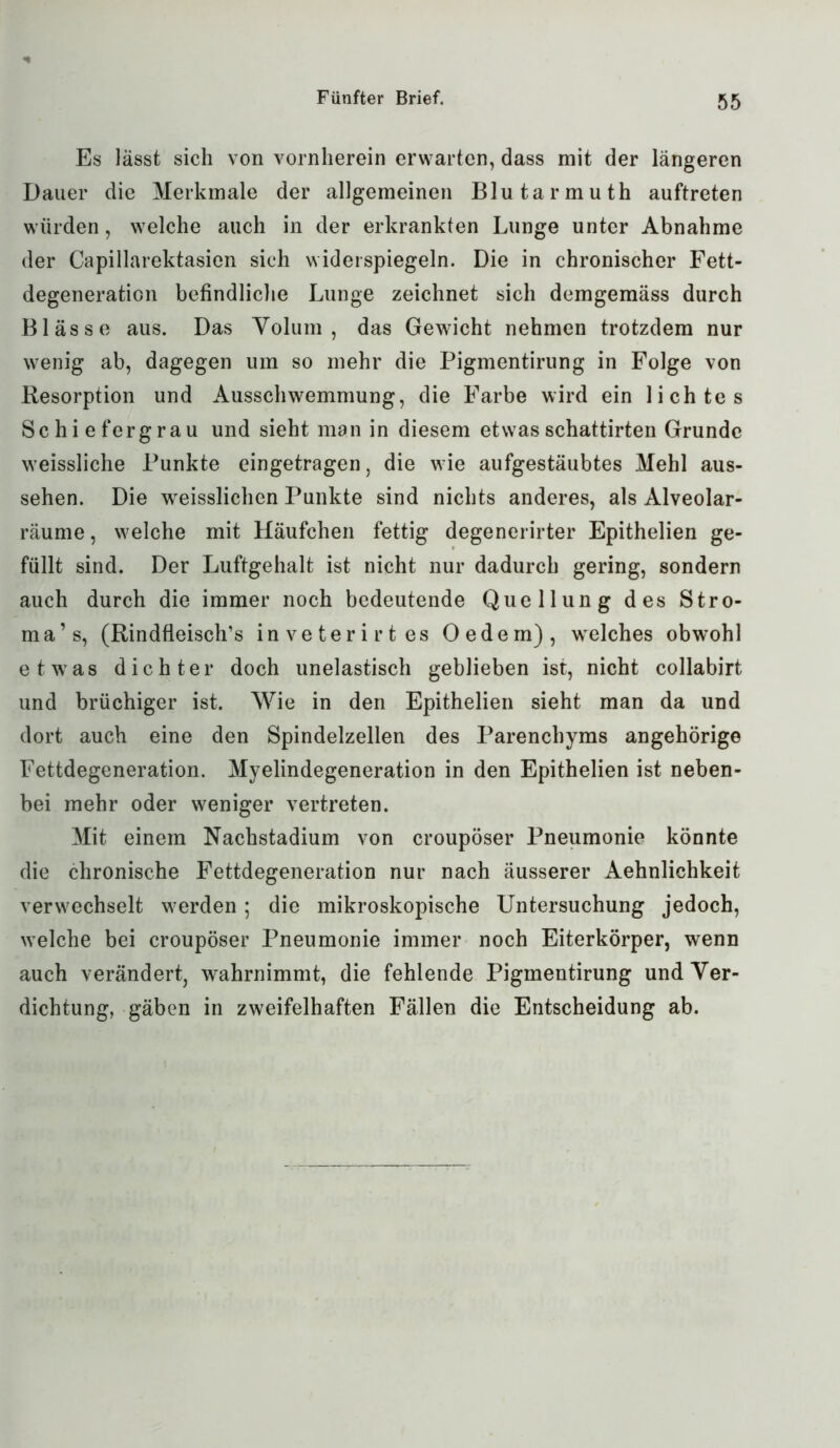 Es lässt sich von vornherein erwarten, dass mit der längeren Dauer die Merkmale der allgemeinen Blutarmuth auftreten würden, welche auch in der erkrankten Lunge unter Abnahme der Capillarektasien sich widerspiegeln. Die in chronischer Fett- degeneration befindliche Lunge zeichnet sich demgemäss durch Blässe aus. Das Volum, das Gewicht nehmen trotzdem nur wenig ab, dagegen um so mehr die Pigmentirung in Folge von Resorption und Ausschwemmung, die Farbe wird ein lichtes Schiefergrau und sieht man in diesem etwas schattirten Grunde weissliche Punkte eingetragen, die wie aufgestäubtes Mehl aus- sehen. Die weisslichen Punkte sind nichts anderes, als Alveolar- räume, welche mit Häufchen fettig degenerirter Epithelien ge- füllt sind. Der Luftgehalt ist nicht nur dadurch gering, sondern auch durch die immer noch bedeutende Quellung des Stro- ma’ s, (Rindfleisches inveterirtes Oedem), welches obwohl etwas dichter doch unelastisch geblieben ist, nicht collabirt und brüchiger ist. Wie in den Epithelien sieht man da und dort auch eine den Spindelzellen des Parenchyms angehörige Fettdegeneration. Myelindegeneration in den Epithelien ist neben- bei mehr oder weniger vertreten. Mit einem Nachstadium von croupöser Pneumonie könnte die chronische Fettdegeneration nur nach äusserer Aehnlichkeit verwechselt werden; die mikroskopische Untersuchung jedoch, welche bei croupöser Pneumonie immer noch Eiterkörper, wenn auch verändert, wahrnimmt, die fehlende Pigmentirung und Ver- dichtung, gäben in zweifelhaften Fällen die Entscheidung ab.