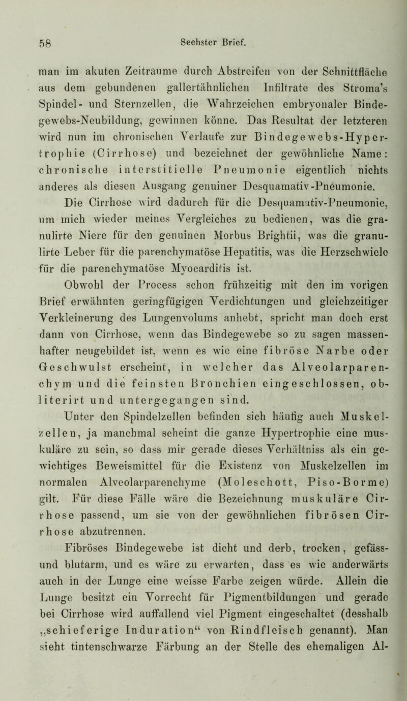 man im akuten Zeiträume durch Abstreifen von der Schnittfläche aus dem gebundenen gallertähnlichen Infiltrate des Stroma’s Spindel- und Sternzellen, die Wahrzeichen embryonaler Binde- gewebs-Neubildung, gewinnen könne. Das Resultat der letzteren wird nun im chronischen Verlaufe zur Bindegewebs-Hyper- trophie (Cirrhose) und bezeichnet der gewöhnliche Name: chronische interstitielle Pneumonie eigentlich nichts anderes als diesen Ausgang genuiner Desquamativ-Pneumonie. Die Cirrhose wird dadurch für die Desquamativ-Pneumonie, um mich wieder meines Vergleiches zu bedienen, was die gra- nulirte Niere für den genuinen Morbus Brightii, was die granu- lirte Leber für die parenchymatöse Hepatitis, was die Herzschwiele für die parenchymatöse Myocarditis ist. Obwohl der Process schon frühzeitig mit den im vorigen Brief erwähnten geringfügigen Verdichtungen und gleichzeitiger Verkleinerung des Lungenvolums anhebt, spricht man doch erst dann von Cirrhose, wenn das Bindegewebe so zu sagen massen- hafter neugebildet ist, wenn es wie eine fibröse Narbe oder Geschwulst erscheint, in welcher das Alveolarparen- chym und die feinsten Bronchien eingeschlossen, ob- 1 iterirt und untergegangen sind. Unter den Spindelzellen befinden sich häufig auch Muskel- zellen, ja manchmal scheint die ganze Hypertrophie eine mus- kuläre zu sein, so dass mir gerade dieses Verhältnis als ein ge- wichtiges Beweismittel für die Existenz von Muskelzellen im normalen Alveolarparenchyme (Moleschott, Piso-Borme) gilt. Für diese Fälle wäre die Bezeichnung muskuläre Cir- rhose passend, um sie von der gewöhnlichen fibrösen Cir- rhose abzutrennen. Fibröses Bindegewebe ist dicht und derb, trocken, gefäss- und blutarm, und es wäre zu erwarten, dass es wie anderwärts auch in der Lunge eine weisse Farbe zeigen würde. Allein die Lunge besitzt ein Vorrecht für Pigmentbildungen und gerade bei Cirrhose wird auffallend viel Pigment eingeschaltet (desshalb ,,schieferige Induration“ von Rindfleisch genannt). Man sieht tintenschwarze Färbung an der Stelle des ehemaligen Al-