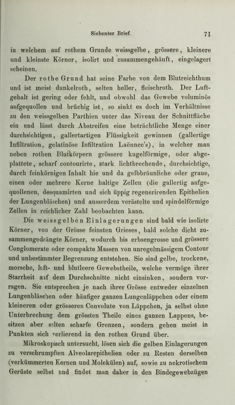 in welchem auf rothem Grunde weissgelbe, grössere, kleinere und kleinste Körner, isolirt und zusammengehäuft, eingelagert scheinen. Der rothe Grund hat seine Farbe von dem Blutreichthum und ist meist dunkelroth, selten heller, fleischroth. Der Luft- gehalt ist gering oder fehlt, und obwohl das Gewebe voluminös aufgequollen und brüchig ist, so sinkt es doch im Verhältnisse zu den weissgelben Parthien unter das Niveau der Schnittfläche ein und lässt durch Abstreifen eine beträchtliche Menge einer durchsichtigen, gallertartigen Flüssigkeit gewinnen (gallertige Infiltration, gelatinöse Infiltration Laennec’s), in welcher man neben rothen Blutkörpern grössere kugelförmige, oder abge- plattete , scharf contourirte, stark lichtbrechende, durchsichtige, durch feinkörnigen Inhalt hie und da gelbbräunliche oder graue, einen oder mehrere Kerne haltige Zellen (die gallertig aufge- quollenen, desquamirten und sich üppig regenerirenden Epithelien der Lungenbläschen) und ausserdem verästelte und spindelförmige Zellen in reichlicher Zahl beobachten kann. Die weissgelben Einlagerungen sind bald wie isolirte Körner, von der Grösse feinsten Grieses, bald solche dicht zu- sammengedrängte Körner, wodurch bis erbsengrosse und grössere Conglomerate oder compakte Massen von unregelmässigem Contour und unbestimmter Begrenzung entstehen. Sie sind gelbe, trockene, morsche, luft- und blutleere Gewebstheile, welche vermöge ihrer Starrheit aaf dem Durchschnitte nicht einsinken, sondern vor- ragen. Sie entsprechen je nach ihrer Grösse entweder einzelnen Lungenbläschen oder häufiger ganzen Lungenläppchen oder einem kleineren oder grösseren Convolute von Läppchen, ja selbst ohne Unterbrechung dem grössten Theile eines ganzen Lappens, be- sitzen aber selten scharfe Grenzen, sondern gehen meist in Punkten sich verlierend in den rothen Grund über. Mikroskopisch untersucht, lösen sich die gelben Einlagerungen zu verschrumpften Alveolarepithelien oder zu Besten derselben (verkümmerten Kernen und Molekülen) auf, sowie zu nekrotischem Gerüste selbst und findet man daher in den Bindegewebzügen
