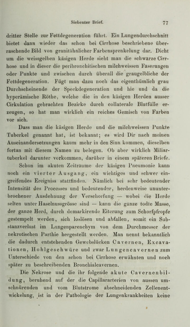 dritter Stelle zur Fettdegeneration führt. Ein Lungendurchschnitt bietet dann wieder das schon bei Cirrhose beschriebene über- raschende Bild von granitähnlicher Farbensprenkelung dar. Dicht um die weissgelben käsigen Herde sieht man die schwarze Cirr- hose und in dieser die peribronchitischen milchweissen Faserungen oder Punkte und zwischen durch überall die graugelbliche der Fettdegeneration. Fügt man dazu noch das eigenthümlich grau Durchscheinende der Speckdegeneration und hie und da die hyperämische Rothe, welche die in den käsigen Herden ausser Cirkulation gebrachten Bezirke durch collaterale Blutfülle er- zeugen, so hat man wirklich ein reiches Gemisch von Farben vor sich. Dass man die käsigen Herde und die milchweissen Punkte Tuberkel genannt hat, ist bekannt; es wird Dir nach meinen Auseinandersetzungen kaum mehr in den Sinn kommen, dieselben fortan mit diesem Namen zu belegen. Ob aber wirklich Miliar- tuberkel darunter Vorkommen, darüber in einem späteren Briefe. Schon im akuten Zeiträume der käsigen Pneumonie kann noch ein vierter Ausgang, ein wichtiges und schwer ein- greifendes Ereigniss stattfinden. Nämlich bei sehr bedeutender Intensität des Processes und bedeutender, herdenweise ununter- brochener Ausdehnung der Verschorfung — wobei die Herde seifen unter Haselnussgrössc sind — kann die ganze todte Masse, der ganze Herd, durch demarkirende Eiterung zum Schorfpfropfe gestempelt werden, sich loslösen und abfallen, somit ein Sub- stanzverlust im Lungenparenchym von dem Durchmesser der nekrotischen Parthie hergestellt werden. Man nennt bekanntlich die dadurch entstehenden Gewebslücken Cavernen, Excava- tionen, Hohlgeschwüre und zwar Lun gen cavernen zum Unterschiede von den schon bei Cirrhose erwähnten und noch später zu beschreibenden Bronchialcavernen. Die Nekrose und die ihr folgende akute CavernenbiL düng, beruhend auf der die Capillararterien von aussen um- schnürenden und vom Blutstrome abschneidenden Zellenent- wickelung, ist in der Pathologie der Lungenkrankheiten keine
