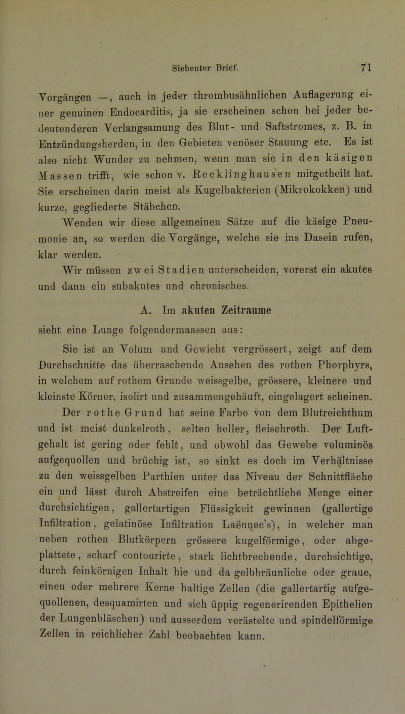 Vorgängen —, auch in jeder thrombusähnlichen Auflagerung ei- ner genuinen Endocarditis, ja sie erscheinen schon bei jeder be- deutenderen Verlangsamung des Blut- und Saftstromes, z. B. in Entzündungsherden, in den Gebieten venöser Stauung etc. Es ist also nicht Wunder zu nehmen, wenn man sie in den käsigen Massen trifft, wie schon v. Recklinghausen mitgetheilt hat. Sie erscheinen darin meist als Kugelbakterien (Mikrokokken) und kurze, gegliederte Stäbchen. Wenden wir diese allgemeinen Sätze auf die käsige Pneu- monie an, so werden die Vorgänge, welche sie ins Dasein rufen, klar werden. Wir müssen zwei Stadien unterscheiden, vorerst ein akutes und dann ein subakutes und chronisches. A. Im akuten Zeiträume sieht eine Lunge folgendermaassen aus: Sie ist an Volum und Gewicht vergrössert, zeigt auf dem Durchschnitte das überraschende Ansehen des rothen Phorphyrs, in welchem auf rothem Grunde weissgelbe, grössere, kleinere und kleinste Körner, isolirt und zusammengehäuft, eingelagert scheinen. Der rot he Grund hat seine Farbe von dem Blutreichthum und ist meist dunkelroth, selten heller, fleischroth. Der Luft- gehalt ist gering oder fehlt, und obwohl das Gewebe voluminös aufgequollen und brüchig ist, so sinkt es doch im Verhältnisse zu den weissgelben Parthien unter das Niveau der Schnittfläche ein und lässt durch Abstreifen eine beträchtliche Menge einer durchsichtigen, gallertartigen Flüssigkeit gewinnen (gallertige Infiltration, gelatinöse Infiltration Laennec’s), in welcher man neben rothen Blutkörpern grössere kugelförmige, oder abge- plattete, scharf contourirte, stark lichtbrechende, durchsichtige, durch feinkörnigen Inhalt hie und da gelbbräunliche oder graue, einen oder mehrere Kerne haltige Zellen (die gallertartig aufge- quollenen, desquamirten und sich üppig regenerirenden Epithelien der Lungenbläschen) und ausserdem verästelte und spindelförmige Zellen in reichlicher Zahl beobachten kann.