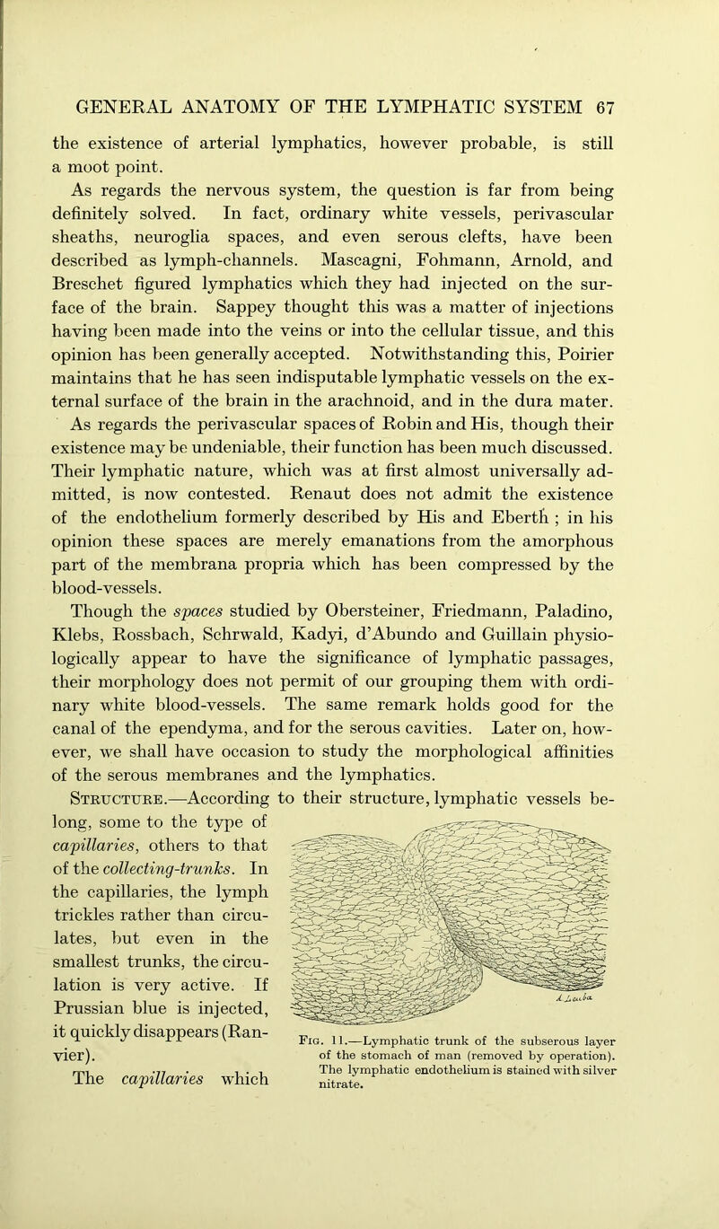 the existence of arterial lymphatics, however probable, is still a moot point. As regards the nervous system, the question is far from being definitely solved. In fact, ordinary white vessels, perivascular sheaths, neuroglia spaces, and even serous clefts, have been described as lymph-cliannels. Mascagni, Fohmann, Arnold, and Breschet figured lymphatics which they had injected on the sur- face of the brain. Sappey thought this was a matter of injections having been made into the veins or into the cellular tissue, and this opinion has been generally accepted. Notwithstanding this, Poirier maintains that he has seen indisputable lymphatic vessels on the ex- ternal surface of the brain in the arachnoid, and in the dura mater. As regards the perivascular spaces of Robin and His, though their existence may be undeniable, their function has been much discussed. Their lymphatic nature, which was at first almost universally ad- mitted, is now contested. Renaut does not admit the existence of the endothelium formerly described by His and Eberth ; in his opinion these spaces are merely emanations from the amorphous part of the membrana propria which has been compressed by the blood-vessels. Though the spaces studied by Obersteiner, Friedmann, Paladino, Klebs, Rossbach, Schrwald, Kadyi, d’Abundo and Guillain physio- logically appear to have the significance of lymphatic passages, their morphology does not permit of our grouping them with ordi- nary white blood-vessels. The same remark holds good for the canal of the ependyma, and for the serous cavities. Later on, how- ever, we shall have occasion to study the morphological affinities of the serous membranes and the lymphatics. Structure.—According to their structure, lymphatic vessels be- long, some to the type of capillaries, others to that of the collecting-trunks. In the capillaries, the lymph trickles rather than circu- lates, but even in the smallest trunks, the circu- lation is very active. If Prussian blue is injected, it quickly disappears (Ran- vier). The capillaries which Fig. 11.—Lymphatic trunk of the subserous layer of the stomach of man (removed by operation). The lymphatic endothelium is stained with silver nitrate.