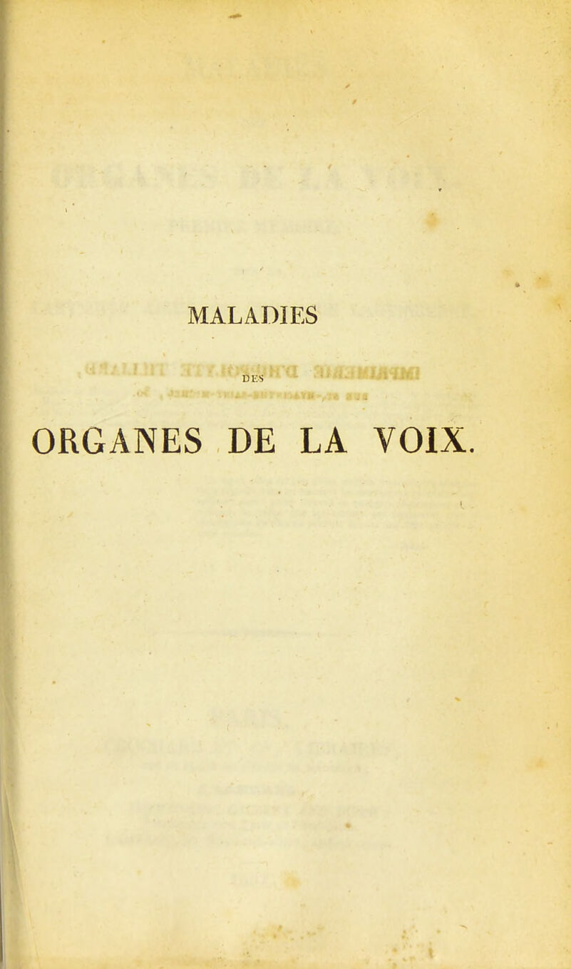 m: s ORGANES DE LA VOIX.