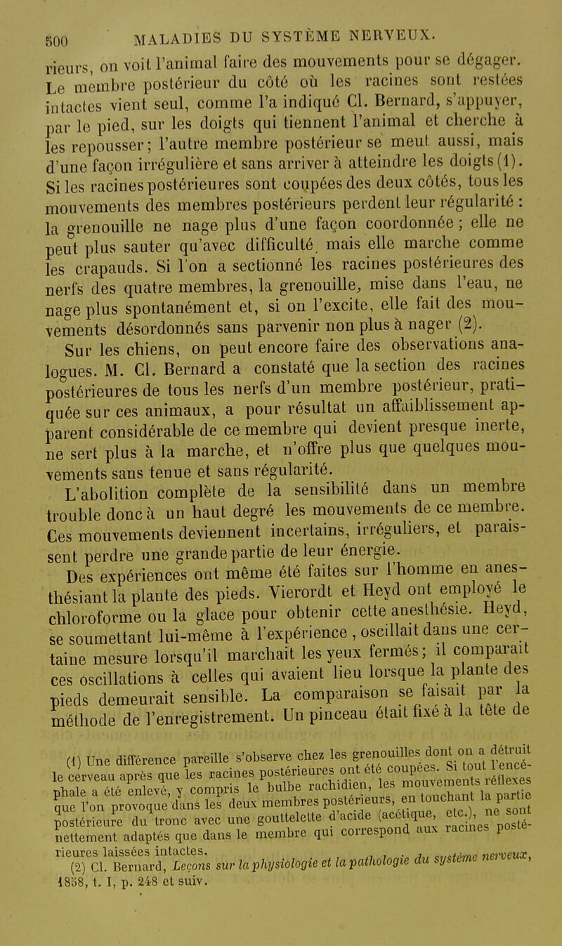 rieurs, on voit l'animal faire des mouvements pour se dégager. Le membre postérieur du côté où les racines sont restées intactes vient seul, comme l'a indiqué Cl. Bernard, s'appuyer, par le pied, sur les doigts qui tiennent l'animal et cherche à les repousser; l'autre membre postérieur se meut aussi, mais d'une façon irrégulière et sans arriver à atteindre les doigts (1). Si les racines postérieures sont coupées des deux côtés, tous les mouvements des membres postérieurs perdent leur régularité : la o-renouille ne nage plus d'une façon coordonnée ; elle ne peut plus sauter qu'avec difficulté, mais elle marche comme les crapauds. Si l'on a sectionné les racines postérieures des nerfs des quatre membres, la grenouille, mise dans l'eau, ne nage plus spontanément et, si on l'excite, elle fait des mou- vements désordonnés sans parvenir non plus à nager (2). Sur les chiens, on peut encore faire des observations ana- logues. M. Cl. Bernard a constaté que la section des racines po^stérieures de tous les nerfs d'un membre postérieur, prati- quée sur ces animaux, a pour résultat un affaiblissement ap- parent considérable de ce membre qui devient presque inerte, ne sert plus à la marche, et n'offre plus que quelques mou- vements sans tenue et sans régularité. L'abolition complète de la sensibilité dans un membre trouble donc à un haut degré les mouvements de ce membre. Ces mouvements deviennent incertains, irréguliers, et parais- sent perdre une grande partie de leur énergie. Des expériences ont même été faites sur l'homme en anes- thésiant la plante des pieds. Vierordt et Heyd ont employé le chloroforme ou la glace pour obtenir celte aneslhésie. Heyd, se soumettant lui-même à l'expérience , oscillait dans une cer- taine mesure lorsqu'il marchait les yeux fermés; il comparait ces oscillations à celles qui avaient heu lorsque la plante des pieds demeurait sensible. La comparaison se faisait par a méthode de l'enregistrement. Un pinceau était fixe a la tete de (1) Une différence pareille s'observe chez les f on a déUa le cerveau après que les racines postérieures ont ete f^^^ ;^,^Uout 1 encé phale a été enlevé, y compris le bulbe rachidien les ;'7;^'J^^ Ya^^^^^^ que l'on provoque dans les deux «membres postérieurs ^ «^^h^^^^^^^ la parUe postérieure du tronc avec une gouttelette d'acide (acétique^ Ses posté- neltement adaptés que dans le membre qui correspond aux racmes poste rieures laissées intactes. (2) Cl. Bernard, Leço7is 18b8, t. I, p. 248 et suiv. rieures laissées intactes. ^, , • j„ cofômp nerveux. (2) Cl. Bernard, Leçons sur la physiologie et la pathologie du système neneux,