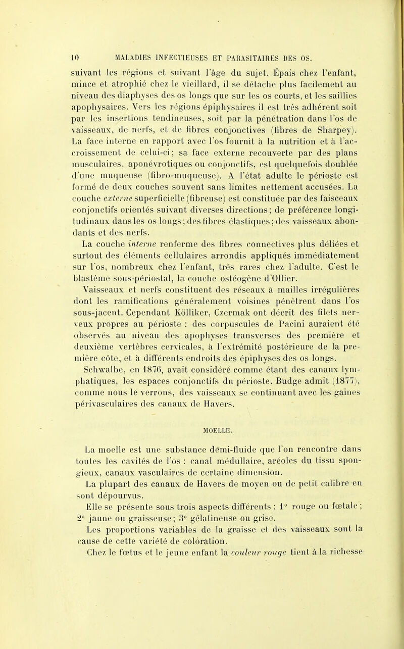 suivant les régions et suivant lage du sujet. Épais chez l'enfant, mince et atrophié chez le vieillard, il se détache plus facilement au niveau des diaphyses des os longs que sur les os courts, et les saillies apophysaires. Vers les régions épiphysaires il est très adhérent soit par les insertions tendineuses, soit par la pénétration dans l'os de vaisseaux, de nerfs, et de fibres conjonctives (libres de Sharpey). La face interne en rapport avec l'os fournit à la nutrition et à l'ac- croissement de celui-ci ; sa face externe recouverte par des plans musculaires, aponévrotiques ou conjonctifs, est quelquefois doublée d'une muqueuse (fibro-muqueuse). A l'état adulte le périoste est formé de deux couches souvent sans limites nettement accusées. La couche externe superficielle (fibreuse) est constituée par des faisceaux conjonctifs orientés suivant diverses directions; de préférence longi- tudinaux dans les os longs ; des fibres élastiques; des vaisseaux abon- dants et des nerfs. La couche interne renferme des fibres connectives plus déliées et surtout des éléments cellulaires arrondis appliqués immédiatement sur l'os, nombreux chez l'enfant, très rares chez l'adulte. C'est le blastème sous-périostal, la couche ostéogène d'Ollier. Vaisseaux et nerfs constituent des réseaux à mailles irrégulières dont les ramifications généralement voisines pénètrent dans l'os sous-jacent. Cependant Kôlliker, Czermak ont décrit des filets ner- veux propres au périoste : des corpuscules de Pacini auraient été observés au niveau des apophyses transverses des première et deuxième vertèbres cervicales, à l'extrémité postérieure de la pre- mière côte, et à différents endroits des épiphyses des os longs. Schwalbe, en 1876, avait considéré comme étant des canaux Lym- phatiques, les espaces conjonctifs du périoste. Budge admit (1877), comme nous le verrons, des vaisseaux se continuant avec les gaines périvasculaires des canaux de Havers. MOELLE. La moelle est une substance demi-fluide que l'on rencontre dans toutes le-s cavités de l'os : canal médullaire, aréoles du tissu spon- gieux, canaux vasculaires de certaine dimension. La plupart des canaux de Havers de moyen ou de petit calibre en sont dépourvus. Elle se présente sous trois aspects différents : lu rouge ou fœtale ; 2° jaune ou graisseuse; 3° gélatineuse ou grise. Les proportions variables de la graisse et des vaisseaux sont la cause de cette variété de coloration. Chez le fœtus et le jeune enfant la couleur ro>ir/c tient à la ricbesse