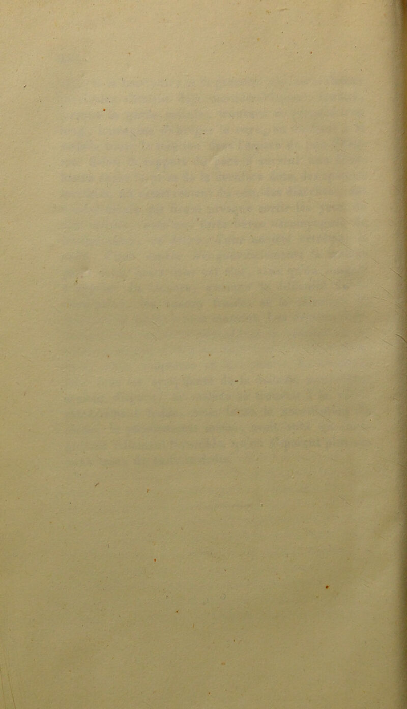 • \ i#y-- - IPffCÇ' >< - ’4 .r • > f V 41#. . *■ ,> • / ■• I ^V' / r .• -.t,A;'tf* M f. .':■ LV.'V^ \ •4. \ À. ■ . - • ' k .1 ■f