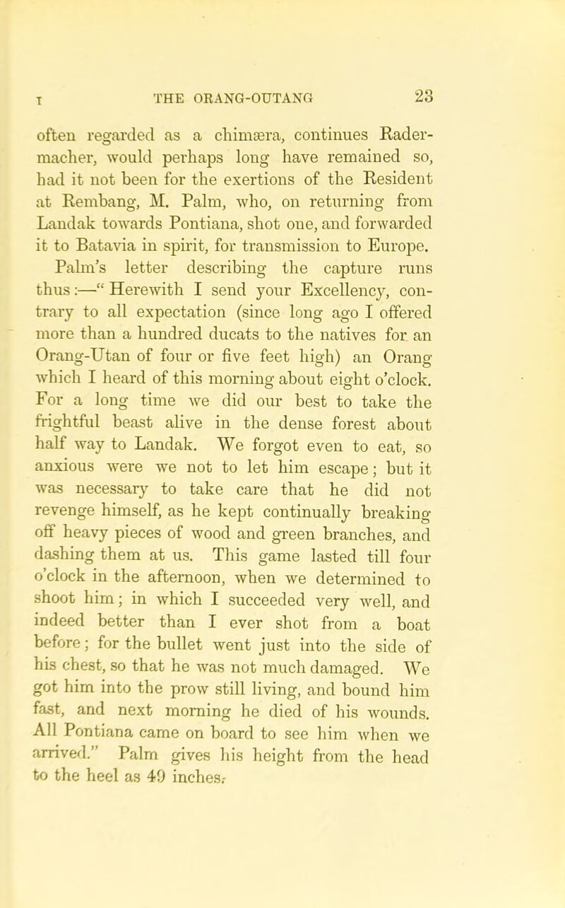 often regarded as a cliimsera, continues Rader- macliei-, would perhaps long have remained so, had it not been for the exertions of the Resident at Rembang, M. Palm, who, on returning from Landak towards Pontiana, shot one, and forwarded it to Batavia in spirit, for transmission to Europe. Palm’s letter describing the capture runs thus:—“ Herewith I send your Excellency, con- trary to all expectation (since long ago I offered more than a hundred ducats to the natives for an Orang-Utan of four or five feet high) an Orang which I heard of this morning about eight o’clock. For a long time we did our best to take the frightful beast ahve in the dense forest about half way to Landak. We forgot even to eat, so anxious Avere we not to let him escape; but it was necessar}^ to take care that he did not revenge himself, as he kept continually breaking off heavy pieces of wood and green branches, and dashing them at us. This game lasted till four o’clock in the afternoon, when we determined to shoot him; in Avhich I succeeded very well, and indeed better than I ever shot from a boat before; for the bullet Avent just into the side of his chest, so that he was not much damaged. We got him into the prow still liAung, and bound him fast, and next morning he died of his Avounds. All Pontiana came on board to see him Avhen Ave arrived.” Palm gives his height from the head to the heel as 49 inches.-