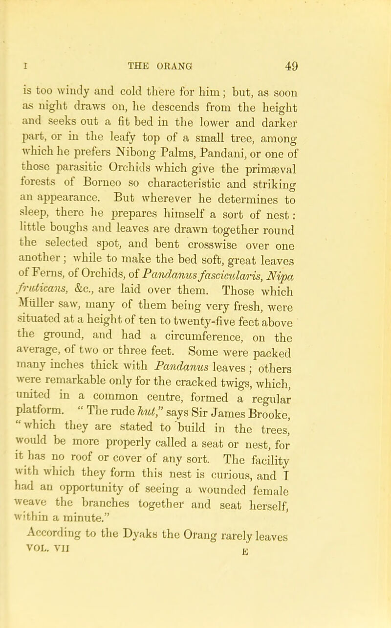 is too windy and cold there for him; but, as soon as night draws on, he descends from the height and seeks out a fit bed in the lower and darkei’ part, or in the leafy top of a small tree, among which he prefers Nibong Palms, Pandani, or one of those parasitic Orchids which give the primseval forests of Borneo so characteristic and strikinsr an appearance. But wherever he determines to sleep, there he prepares himself a sort of nest: little boughs and leaves are drawn together round the selected spot, and bent crosswise over one another; while to make the bed soft, great leaves of Ferns, of Orchids, of Pandanus fascicularis, Nipa fniticans, &c., are laid over them. Those which Aliiller saw, many of them being very fresh, were situated at a height of ten to twenty-five feet above the gi’ound, and had a circumference, on the average, of two or three feet. Some were packed many inches thick with Pandanus leaves ; others were remarkable only for the cracked twigs, which, united in a common centre, formed a regular platform. » The rude TiuV: says Sir James Brooke, “ which they are stated to build in the trees, would be more properly called a seat or nest, for it has no roof or cover of any sort. The facility with which they form this nest is curious, and I had an opportunity of seeing a wounded female weave the branches together and seat herself, w ithin a minute.” According to the Dyaks the Orang rarely leaves VOL. VII r.