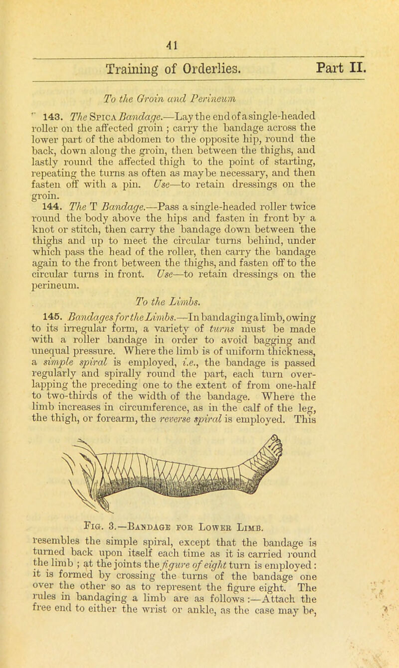 Training of Orderlies. Part II. To the Groin and Perineum 143. The Spica Bandage.—Lay the end of a single-headed roller on the affected groin ; carry the bandage across the lower part of the abdomen to the opposite hip, round the back, down along the groin, then between the thighs, and lastly round the affected thigh to the point of starting, repeating the turns as often as maybe necessary, and then fasten off with a pin. Use—to retain dressings on the groin. 144. The T Bandage.—Pass a single-headed roller twice round the body above the hips and fasten in front by a knot or stitch, then carry the bandage down between the thighs and up to meet the circular turns behind, under which pass the head of the roller, then carry the bandage again to the front between the thighs, and fasten off to the circular turns in front. Use—to retain dressings on the perineum. To the Limbs. 145. Bandages for the Limbs.—In bandaging a limb, owing to its irregular form, a variety of turns must be made with a roller bandage in order to avoid bagging and unequal pressure. Where the limb is of uniform thickness, a simple spiral is employed, i.e., the bandage is passed regularly and spirally round the part, each turn over- lapping the preceding one to the extent of from one-half to two-thirds of the width of the bandage. Where the limb increases in circumference, as in the calf of the leg, the thigh, or forearm, the reverse spiral is employed. This Pig. 3.—Bandage for Lower Limb. resembles the simple spiral, except that the bandage is turned back upon itself each time as it is carried round the limb ; at the joints the figure of eight turn is employed: it is formed by crossing the turns of the bandage one over the other so as to represent the figure eight. The rules in bandaging a limb are as follows :—Attach the free end to either the wrist or ankle, as the case may be, f