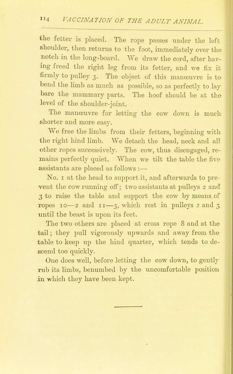 the fetter is placed. The rope passes Linder the left shoulder, then returns to the foot, immediately over the notch in the long-board. We draw the cord, after hav- ing freed the right leg from its fetter, and we hs it firmly to pulley 3. The object of this manoeuvre is tO' bend the limb as much as possible, so as perfectly to lay bare the mammary parts. The hoof should be at the- level of the shoulder-joint. The manoeuvre for letting the cow down is much shorter and more easy. We free the Hmbs from their fetters, beginning with the right hind limb. We detach the head, neck and all other ropes successively. The cow, thus disengaged, re- mains perfectly quiet. When we tilt the table the five assistants are placed as follows :— N^o. I at the head to support it, and afterwards to pre- vent the cow running off; two assistants at pulleys 2 and 3 to raise the table and support the cow by means, of ropes 10—2 and ir—3, which rest in pulleys 2 and 3. until the beast is upon its feet. The two others are placed at cross rope 8 and at the tail; they pull vigorously upwards and away from the table to keep up the hind quarter, which tends to de- scend too quickly. One does well, before letting the cow down, to gently rub its limbs, benumbed by the uncomfortable position in whicli they have been kept.