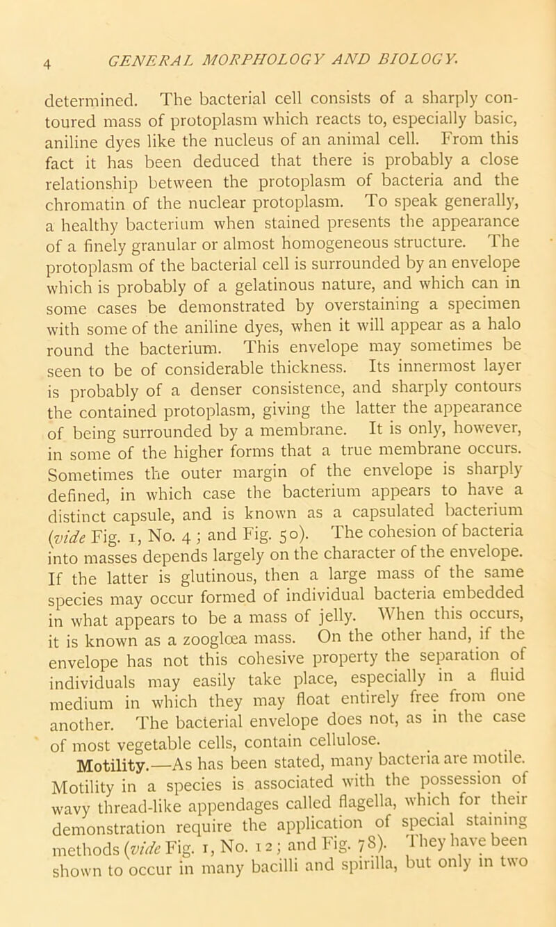 determined. The bacterial cell consists of a sharply con- toured mass of protoplasm which reacts to, especially basic, aniline dyes like the nucleus of an animal cell. From this fact it has been deduced that there is probably a close relationship between the protoplasm of bacteria and the chromatin of the nuclear protoplasm. To speak generally, a healthy bacterium when stained presents the appearance of a finely granular or almost homogeneous structure. The protoplasm of the bacterial cell is surrounded by an envelope which is probably of a gelatinous nature, and which can in some cases be demonstrated by overstaining a specimen with some of the aniline dyes, when it will appear as a halo round the bacterium. This envelope may sometimes be seen to be of considerable thickness. Its innermost layer is probably of a denser consistence, and sharply contours the contained protoplasm, giving the latter the appearance of being surrounded by a membrane. It is only, however, in some of the higher forms that a true membrane occurs. Sometimes the outer margin of the envelope is sharply defined, in which case the bacterium appears to have a distinct capsule, and is known as a capsulated bacterium {vide Fig. i, No. 4 ; and Fig. 50). The cohesion of bacteria into masses depends largely on the chaiactei of the envelope. If the latter is glutinous, then a large mass of the same species may occur formed of individual bacteria embedded in what appears to be a mass of jelly. When this occurs, it is known as a zooglcea mass. On the othei hand, if the envelope has not this cohesive property the separation of individuals may easily take place, especially in a fluid medium in which they may float entirely free from one another. The bacterial envelope does not, as in the case of most vegetable cells, contain cellulose. Motility.—As has been stated, many bacteria are motile. Motility in a species is associated with the possession of wavy thread-like appendages called flagella, which for their demonstration require the application of specia staining methods {vide Fig. 1, No. 12; and Fig. 78). They have been shown to occur in many bacilli and spirilla, but only in two