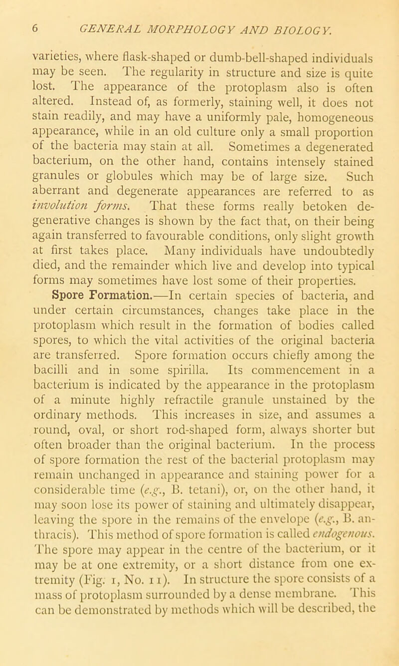 varieties, where flask-shaped or dumb-bell-shaped individuals may be seen. The regularity in structure and size is quite lost. The appearance of the protoplasm also is often altered. Instead of, as formerly, staining well, it does not stain readily, and may have a uniformly pale, homogeneous appearance, while in an old culture only a small proportion of the bacteria may stain at all. Sometimes a degenerated bacterium, on the other hand, contains intensely stained granules or globules which may be of large size. Such aberrant and degenerate appearances are referred to as involution forms. That these forms really betoken de- generative changes is shown by the fact that, on their being again transferred to favourable conditions, only slight growth at first takes place. Many individuals have undoubtedly died, and the remainder which live and develop into typical forms may sometimes have lost some of their properties. Spore Formation.—In certain species of bacteria, and under certain circumstances, changes take place in the protoplasm which result in the formation of bodies called spores, to which the vital activities of the original bacteria are transferred. Spore formation occurs chiefly among the bacilli and in some spirilla. Its commencement in a bacterium is indicated by the appearance in the protoplasm of a minute highly refractile granule unstained by the ordinary methods. This increases in size, and assumes a round, oval, or short rod-shaped form, always shorter but often broader than the original bacterium. In the process of spore formation the rest of the bacterial protoplasm may remain unchanged in appearance and staining power for a considerable time (e.g., B. tetani), or, on the other hand, it may soon lose its power of staining and ultimately disappear, leaving the spore in the remains of the envelope (e.g., B. an- thracis). This method of spore formation is called endogenous. The spore may appear in the centre of the bacterium, or it may be at one extremity, or a short distance from one ex- tremity (Fig. i, No. i r). In structure the spore consists of a mass of protoplasm surrounded by a dense membrane. 'I his can be demonstrated by methods which will be described, the
