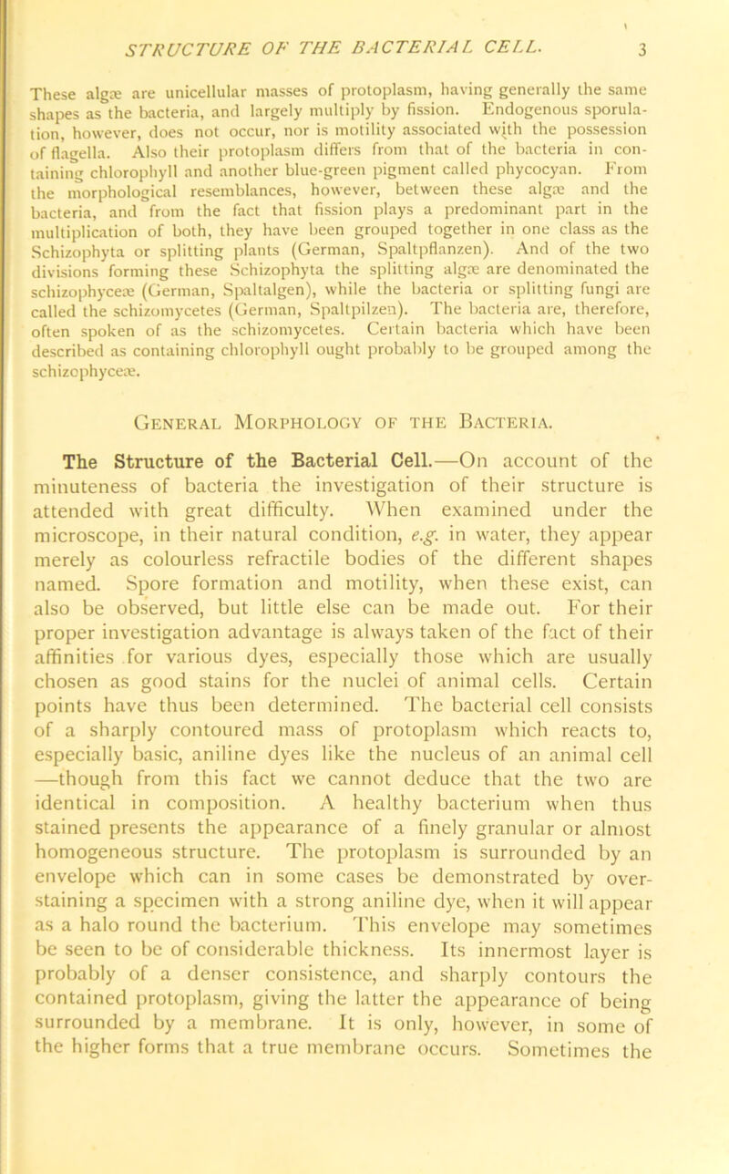 These alga' are unicellular masses of protoplasm, having generally the same shapes as the bacteria, and largely multiply by fission. Endogenous sporula- tion, however, does not occur, nor is motility associated with the possession of flagella. Also their protoplasm differs from that of the bacteria in con- taining chlorophyll and another blue-green pigment called phycocyan. From the morphological resemblances, however, between these algte and the bacteria, and from the fact that fission plays a predominant part in the multiplication of both, they have been grouped together in one class as the Schizophyta or splitting plants (German, Spaltpflanzen). And of the two divisions forming these Schizophyta the splitting algae are denominated the schizophyceae (German, Spaltalgen), while the bacteria or splitting fungi are called the schizomycetes (German, Spaltpilzen). The bacteria are, therefore, often spoken of as the schizomycetes. Certain bacteria which have been described as containing chlorophyll ought probably to be grouped among the schizophyceae. General Morphology of the Bacteria. The Structure of the Bacterial Cell.—On account of the minuteness of bacteria the investigation of their structure is attended with great difficulty. When examined under the microscope, in their natural condition, e.g. in water, they appear merely as colourless refractile bodies of the different shapes named. Spore formation and motility, when these exist, can also be observed, but little else can be made out. For their proper investigation advantage is always taken of the fact of their affinities for various dyes, especially those which are usually chosen as good stains for the nuclei of animal cells. Certain points have thus been determined. The bacterial cell consists of a sharply contoured mass of protoplasm which reacts to, especially basic, aniline dyes like the nucleus of an animal cell —though from this fact we cannot deduce that the two are identical in composition. A healthy bacterium when thus stained presents the appearance of a finely granular or almost homogeneous structure. The protoplasm is surrounded by an envelope which can in some cases be demonstrated by over- staining a specimen with a strong aniline dye, when it will appear as a halo round the bacterium. This envelope may sometimes be seen to be of considerable thickness. Its innermost layer is probably of a denser consistence, and sharply contours the contained protoplasm, giving the latter the appearance of being surrounded by a membrane. It is only, however, in some of the higher forms that a true membrane occurs. Sometimes the