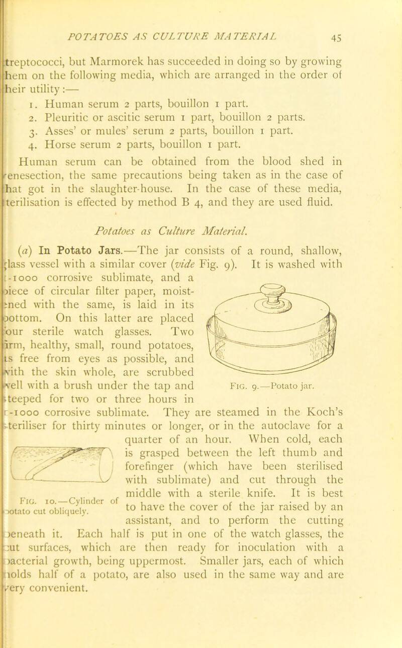 treptococci, but Marmorek has succeeded in doing so by growing hem on the following media, which are arranged in the order of heir utility:— 1. Human serum 2 parts, bouillon 1 part. 2. Pleuritic or ascitic serum 1 part, bouillon 2 parts. 3. Asses’ or mules’ serum 2 parts, bouillon 1 part. 4. Horse serum 2 parts, bouillon 1 part. Human serum can be obtained from the blood shed in venesection, the same precautions being taken as in the case of hat got in the slaughter-house. In the case of these media, terilisation is effected by method B 4, and they are used fluid. Potatoes as Culture Material. (a) In Potato Jars.—The jar consists of a round, shallow, ;lass vessel with a similar cover (vide Fig. 9). It is washed with :-iooo corrosive sublimate, and a )iece of circular filter paper, moist- med with the same, is laid in its oottom. On this latter are placed 'our sterile watch glasses. Two arm, healthy, small, round potatoes, is free from eyes as possible, and with the skin whole, are scrubbed well with a brush under the tap and teeped for two or three hours in r-1000 corrosive sublimate. They are steamed in the Koch’s teriliser for thirty minutes or longer, or in the autoclave for a quarter of an hour. When cold, each is grasped between the left thumb and forefinger (which have been sterilised with sublimate) and cut through the middle with a sterile knife. It is best to have the cover of the jar raised by an assistant, and to perform the cutting reneath it. Each half is put in one of the watch glasses, the :ut surfaces, which are then ready for inoculation with a >acterial growth, being uppermost. Smaller jars, each of which holds half of a potato, are also used in the same way and are very convenient. Fig. 10.—Cylinder of lotato cut obliquely.