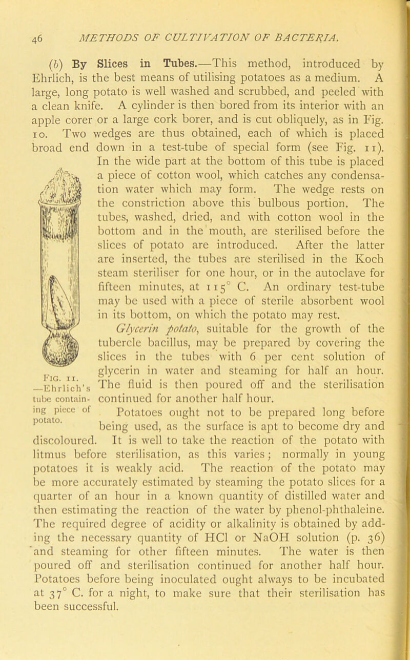 (b) By Slices in Tubes.—This method, introduced by Ehrlich, is the best means of utilising potatoes as a medium. A large, long potato is well washed and scrubbed, and peeled with a clean knife. A cylinder is then bored from its interior with an apple corer or a large cork borer, and is cut obliquely, as in Fig. Two wedges are thus obtained, each of which is placed i o. ,S' broad end down in a test-tube of special form (see Fig. n). In the wide part at the bottom of this tube is placed a piece of cotton wool, which catches any condensa- tion water which may form. The wedge rests on the constriction above this bulbous portion. The tubes, washed, dried, and with cotton wool in the bottom and in the mouth, are sterilised before the slices of potato are introduced. After the latter are inserted, the tubes are sterilised in the Koch steam steriliser for one hour, or in the autoclave for fifteen minutes, at 1150 C. An ordinary test-tube may be used with a piece of sterile absorbent wool in its bottom, on which the potato may rest. G/yce?'i?i potato, suitable for the growth of the tubercle bacillus, may be prepared by covering the slices in the tubes with 6 per cent solution of glycerin in water and steaming for half an hour. The fluid is then poured off and the sterilisation continued for another half hour. Potatoes ought not to be prepared long before being used, as the surface is apt to become dry and discoloured. It is well to take the reaction of the potato with litmus before sterilisation, as this varies; normally in young potatoes it is weakly acid. The reaction of the potato may be more accurately estimated by steaming the potato slices for a quarter of an hour in a known quantity of distilled water and then estimating the reaction of the water by phenol-phthaleine. The required degree of acidity or alkalinity is obtained by add- ing the necessary quantity of HC1 or NaOH solution (p. 36) and steaming for other fifteen minutes. The water is then poured off and sterilisation continued for another half hour. Potatoes before being inoculated ought always to be incubated at 370 C. for a night, to make sure that their sterilisation has been successful. Fig. 11. —Ehrlich's tube contain- ing piece of potato.