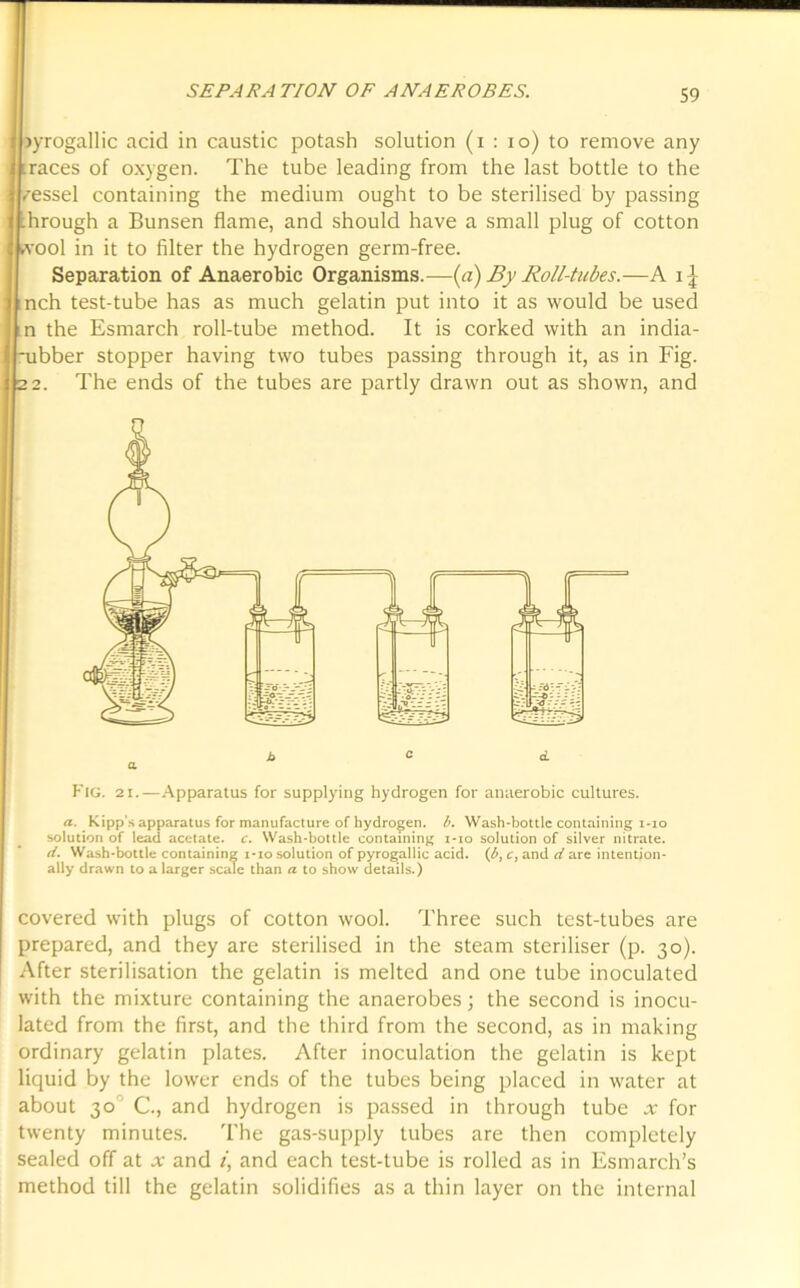 ; jyrogallic acid in caustic potash solution (i : io) to remove any 'races of oxygen. The tube leading from the last bottle to the vessel containing the medium ought to be sterilised by passing Trough a Bunsen flame, and should have a small plug of cotton wool in it to filter the hydrogen germ-free. Separation of Anaerobic Organisms.—(a) By Roll-tubes.—A i ] nch test-tube has as much gelatin put into it as would be used n the Esmarch roll-tube method. It is corked with an india- -ubber stopper having two tubes passing through it, as in Fig. 22. The ends of the tubes are partly drawn out as shown, and Fig. 21.—Apparatus for supplying hydrogen for anaerobic cultures. a. Kipp’s apparatus for manufacture of hydrogen, b. Wash-bottle containing i-io solution of lead acetate, c. Wash-bottle containing i-io solution of silver nitrate. d. Wash-bottle containing i-io solution of pyrogallic acid. (b, c, and d are intention- ally drawn to a larger scale than a to show details.) covered with plugs of cotton wool. Three such test-tubes are prepared, and they are sterilised in the steam steriliser (p. 30). After sterilisation the gelatin is melted and one tube inoculated with the mixture containing the anaerobes; the second is inocu- lated from the first, and the third from the second, as in making ordinary gelatin plates. After inoculation the gelatin is kept liquid by the lower ends of the tubes being placed in water at about 30 C., and hydrogen is passed in through tube x for twenty minutes. The gas-supply lubes are then completely sealed off at x and i, and each test-tube is rolled as in Esmarch’s method till the gelatin solidifies as a thin layer on the internal