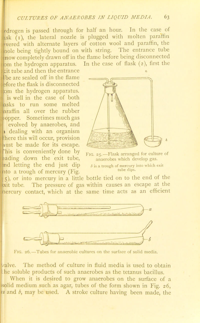 drogen is passed through for half an hour. In the case of sk (1), the lateral nozzle is plugged with molten paraffin 'vered with alternate layers of cotton wool and paraffin, the lole being tightly bound on with string. The entrance tube now completely drawn off in the flame before being disconnected om the hydrogen apparatus. In the case of flask (2), first the lit tube and then the entrance & be are sealed off in the flame I efore the flask is disconnected om the hydrogen apparatus. is well in the case of both asks to run some melted araffin all over the rubber :opper. Sometimes much gas evolved by anaerobes, and 1 dealing with an organism Sphere this will occur, provision lust be made for its escape. :his is conveniently done by iading down the exit tube, nd letting the end just dip ito a trough of mercury (Fig. 5), or into mercury in a little bottle tied on to the end of the xit tube. The pressure of gas within causes an escape at the nercury contact, which at the same time acts as an efficient Fig. 25.—Flask arranged for culture of anaerobes which develop gas. b is a trough of mercury into which exit tube dips. Fig. 26.—Tubes for anaerobic cultures on the surface of solid media. /alve. The method of culture in fluid media is used to obtain he soluble products of such anaerobes as the tetanus bacillus. When it is desired to grow anaerobes on the surface of a solid medium such as agar, tubes of the form shown in Fig. 26, n and b, may be used. A stroke culture having been made, the