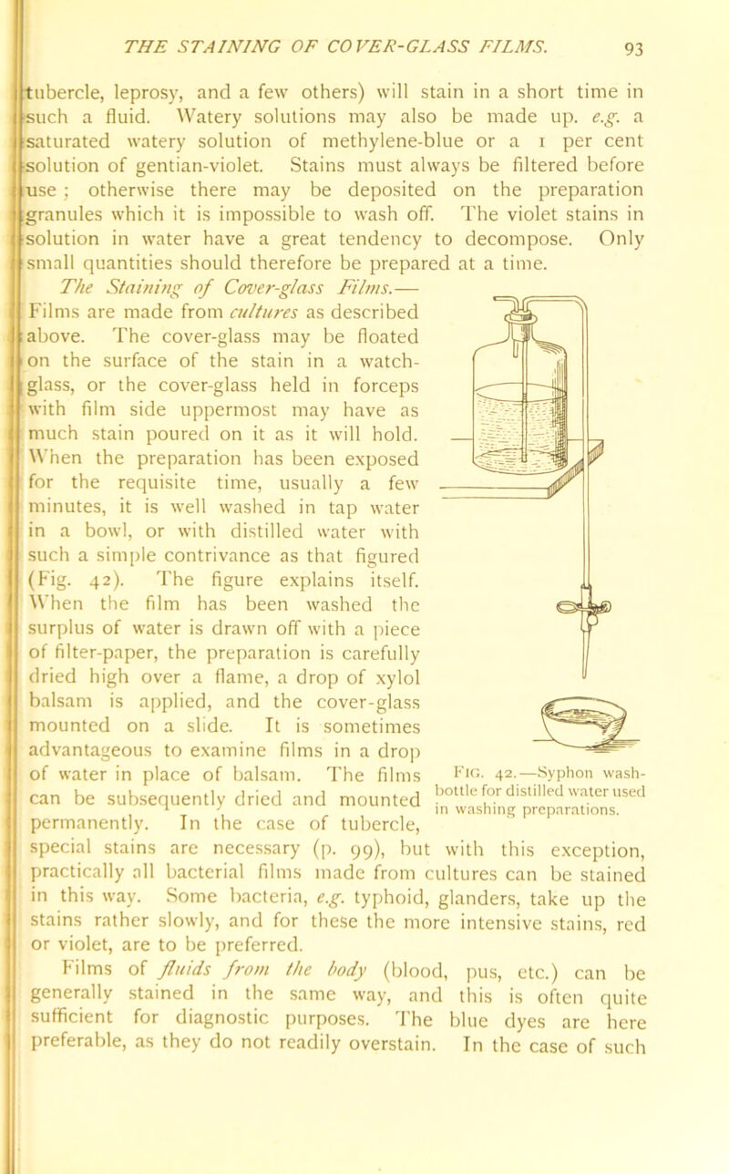 tubercle, leprosy, and a few others) will stain in a short time in such a fluid. Watery solutions may also be made up. e.g. a saturated watery solution of methylene-blue or a i per cent solution of gentian-violet. Stains must always be filtered before rise ; otherwise there may be deposited on the preparation granules which it is impossible to wash off. The violet stains in solution in water have a great tendency to decompose. Only small quantities should therefore be prepared at a time. The Staining of Cover-glass Films.— Films are made from cultures as described above. The cover-glass may be floated on the surface of the stain in a watch- glass, or the cover-glass held in forceps with film side uppermost may have as much stain poured on it as it will hold. When the preparation has been exposed for the requisite time, usually a few minutes, it is well washed in tap water in a bowl, or with distilled water with such a simple contrivance as that figured (Fig. 42). The figure explains itself. When the film has been washed the surplus of water is drawn off with a piece of filter-paper, the preparation is carefully dried high over a flame, a drop of xylol balsam is applied, and the cover-glass mounted on a slide. It is sometimes advantageous to examine films in a drop of water in place of balsam. The films Fig- 42-—:Syphon wash- can be subsequently dried and mounted for distilled water used permanently. In the case of tubercle, special stains are necessary (p. 99), but with this exception, practically all bacterial films made from cultures can be stained in this way. Some bacteria, e.g. typhoid, glanders, take up the stains rather slowly, and for these the more intensive stains, red or violet, are to be preferred. Films of fluids from the body (blood, pus, etc.) can be generally stained in the same way, and this is often quite sufficient for diagnostic purposes. The blue dyes are here preferable, as they do not readily overstain. In the case of such