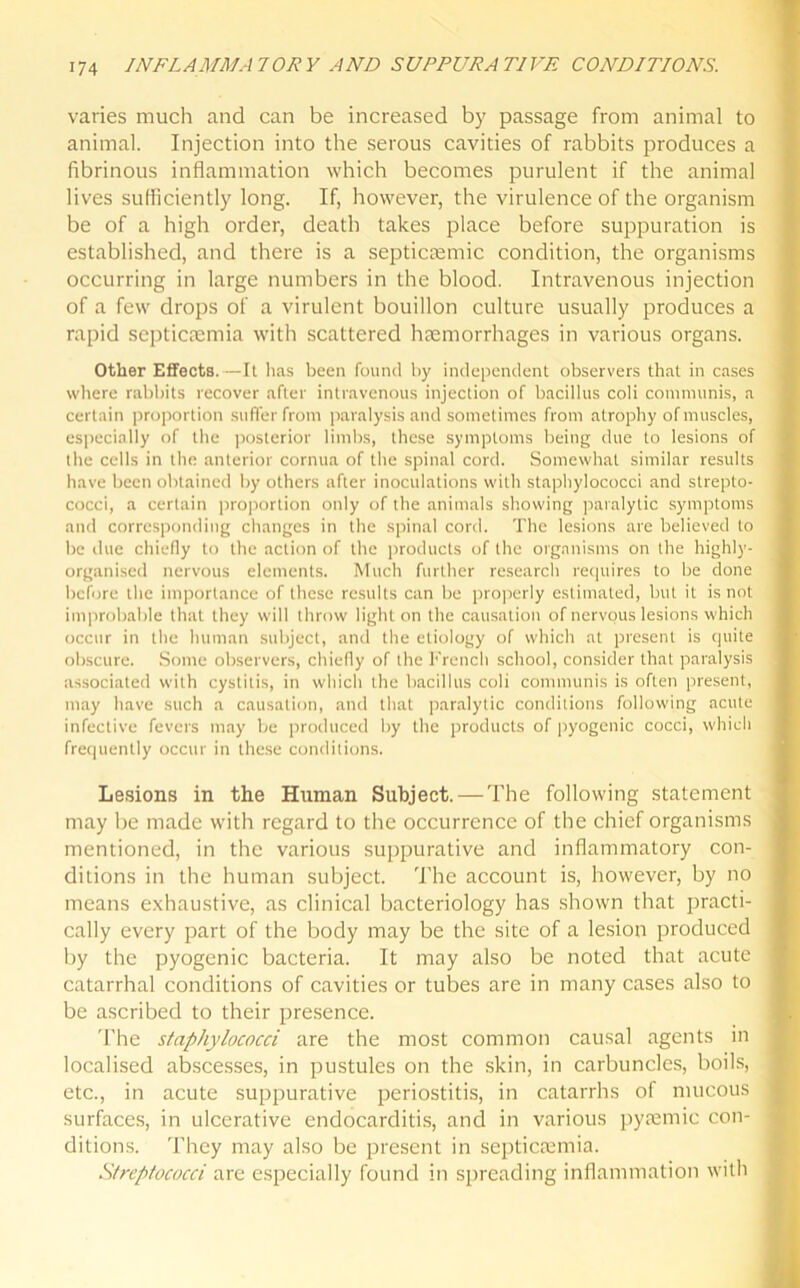 varies much and can be increased by passage from animal to animal. Injection into the serous cavities of rabbits produces a fibrinous inflammation which becomes purulent if the animal lives sufficiently long. If, however, the virulence of the organism be of a high order, death takes place before suppuration is established, and there is a septictemic condition, the organisms occurring in large numbers in the blood. Intravenous injection of a few drops of a virulent bouillon culture usually produces a rapid septicaemia with scattered haemorrhages in various organs. Other Effects.—It has been found by independent observers that in cases where rabbits recover after intravenous injection of bacillus coli communis, a certain proportion suffer from paralysis and sometimes from atrophy of muscles, especially of the posterior limbs, these symptoms being due to lesions of the cells in the anterior cornua of the spinal cord. Somewhat similar results have been obtained by others after inoculations with staphylococci and strepto- cocci, a certain proportion only of the animals showing paralytic symptoms and corresponding changes in the spinal cord. The lesions are believed to be due chiefly to the action of the products of the organisms on the highly- organised nervous elements. Much further researcli requires to be done before the importance of these results can be properly estimated, but it is not improbable that they will throw light on the causation of nervous lesions which occur in the human subject, and the etiology of which at present is quite obscure. Some observers, chiefly of the French school, consider that paralysis associated with cystitis, in which the bacillus coli communis is often present, may have such a causation, and that paralytic conditions following acute infective fevers may be produced by the products of pyogenic cocci, which frequently occur in these conditions. Lesions in the Human Subject. — The following statement may be made with regard to the occurrence of the chief organisms mentioned, in the various suppurative and inflammatory con- ditions in the human subject. The account is, however, by no means exhaustive, as clinical bacteriology has shown that practi- cally every part of the body may be the site of a lesion produced by the pyogenic bacteria. It may also be noted that acute catarrhal conditions of cavities or tubes are in many cases also to be ascribed to their presence. The staphylococci are the most common causal agents in localised abscesses, in pustules on the skin, in carbuncles, boils, etc., in acute suppurative periostitis, in catarrhs of mucous surfaces, in ulcerative endocarditis, and in various pyaemic con- ditions. They may also be present in septicaemia. Streptococci are especially found in spreading inflammation with