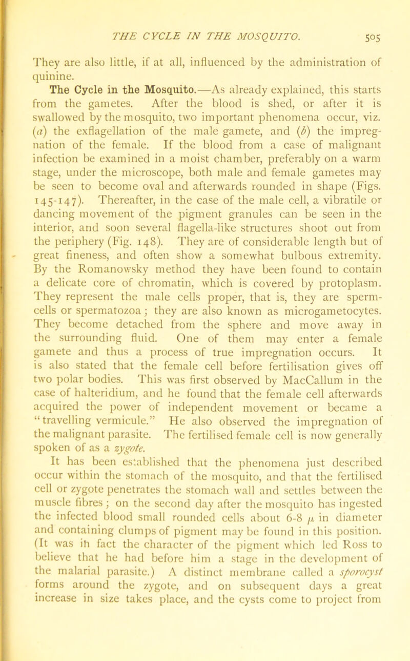 They are also little, if at all, influenced by the administration of quinine. The Cycle in the Mosquito.—As already explained, this starts from the gametes. After the blood is shed, or after it is swallowed by the mosquito, two important phenomena occur, viz. (a) the exflagellation of the male gamete, and (?>) the impreg- nation of the female. If the blood from a case of malignant infection be examined in a moist chamber, preferably on a warm stage, under the microscope, both male and female gametes may be seen to become oval and afterwards rounded in shape (Figs. 145-147). Thereafter, in the case of the male cell, a vibratile or dancing movement of the pigment granules can be seen in the interior, and soon several flagella-like structures shoot out from the periphery (Fig. 148). They are of considerable length but of great fineness, and often show a somewhat bulbous extremity. By the Romanowsky method they have been found to contain a delicate core of chromatin, which is covered by protoplasm. They represent the male cells proper, that is, they are sperm- cells or spermatozoa; they are also known as microgametocytes. They become detached from the sphere and move away in the surrounding fluid. One of them may enter a female gamete and thus a process of true impregnation occurs. It is also stated that the female cell before fertilisation gives off two polar bodies. This was first observed by MacCallum in the case of halteridium, and he found that the female cell afterwards acquired the power of independent movement or became a “ travelling vermicule.” He also observed the impregnation of the malignant parasite. The fertilised female cell is now generally spoken of as a zygote. It has been established that the phenomena just described occur within the stomach of the mosquito, and that the fertilised cell or zygote penetrates the stomach wall and settles between the muscle fibres; on the second day after the mosquito has ingested the infected blood small rounded cells about 6-8 /x in diameter and containing clumps of pigment maybe found in this position. (It was ih fact the character of the pigment which led Ross to believe that he had before him a stage in the development of the malarial parasite.) A distinct membrane called a sporocyst forms around the zygote, and on subsequent days a great increase in size takes place, and the cysts come to project from