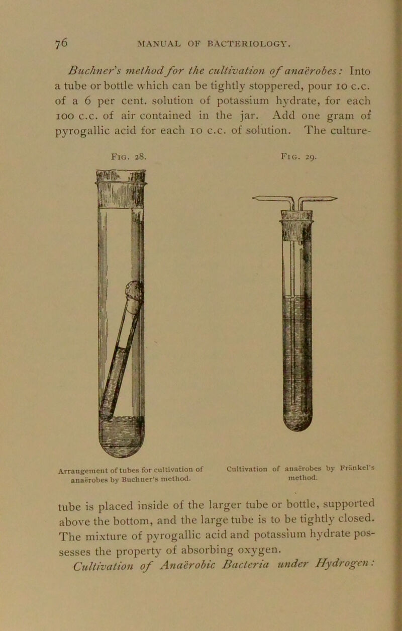 Buchner's method for the cuUivatioti of anaerobes: Into a tube or bottle which can be tightly stoppered, pour lo c.c. of a 6 per cent, solution of potassium hydrate, for each lOO c.c. of air contained in the jar. Add one gram of pyrogallic acid for each lo c.c. of solution. The culture- Fig. 28. Arrangement of tubes for cultivation of anaerobes by Buchner’s method. Fig. 29. Cultivation of anaerobes by Frankel’s method. tube is placed inside of the larger tube or bottle, supported above the bottom, and the large tube is to be tightly closed. The mixture of p}TOgallic acid and potassium hydrate pos- sesses the property of absorbing oxygen. Cultivation of Anaerobic Bacteria under Hydrogen: