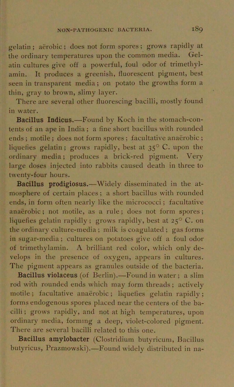 gelatin ; aerobic; does not form spores; grows rapidly at the ordinary temperatures upon the common media. Gel- atin cultures give off a powerful, foul odor of trimethyl- amin. It produces a greenish, lluorescent pigment, best seen in transparent media; on potato the growths form a thin, gray to brown, slimy layer. There are several other fluorescing bacilli, mostly found in water. Bacillus Indicus.—Found by Koch in the stomach-con- tents of an ape in India; a line short bacillus with rounded ends; motile ; does not form spores ; facultative anaerobic ; liquefies gelatin; grows rapidly, best at 35° C. upon the ordinary media; produces a brick-red pigment. Very large doses injected into rabbits caused death in three to twenty-four hours. Bacillus prodigiosus.—Widely disseminated in the at- mosphere of certain places; a short bacillus with rounded ends, in form often nearly like the micrococci; facultative anaerobic; not motile, as a rule; does not form spores; liquefies gelatin rapidly ; grows rapidly, best at 25° C. on the ordinary culture-media ; milk is coagulated ; gas forms in sugar-media; cultures on potatoes give off a foul odor of trimethylamin. A brilliant red color, which only de- velops in the presence of oxygen, appears in cultures. The pigment appears as granules outside of the bacteria. Bacillus violaceus (of Berlin).—Found in water ; a slim rod with rounded ends which may form threads; actively motile; facultative anaerobic; liquefies gelatin rapidly; forms endogenous spores placed near the centers of the ba- cilli ; grows rapidly, and not at high temperatures, upon ordinary media, forming a deep, violet-colored pigment. There are several bacilli related to this one. Bacillus amylobacter (Clostridium butyricum. Bacillus butyricus, Prazmowski).—Found widely distributed in na-