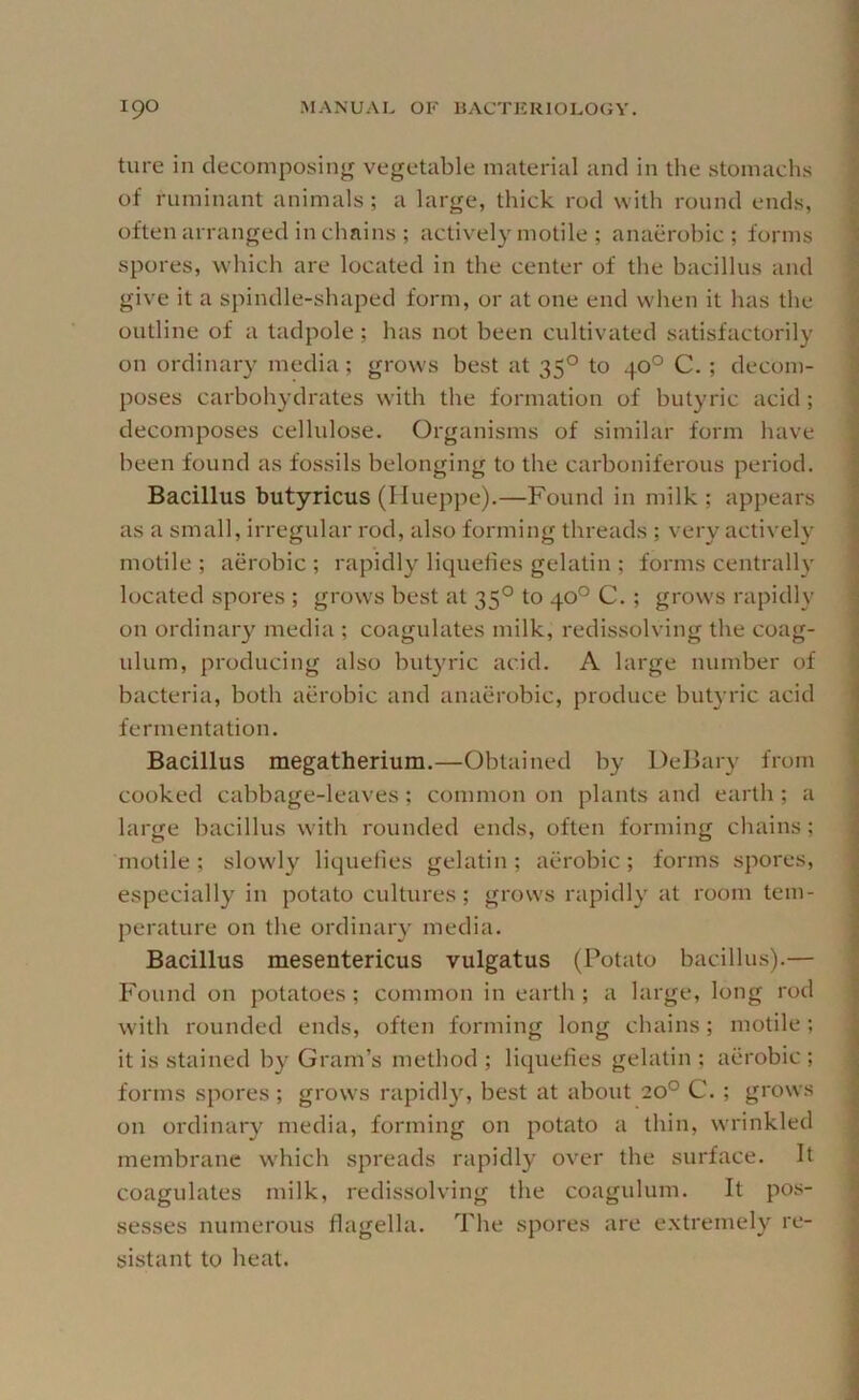 ture in decomposing vegetable material and in the stomachs of ruminant animals; a large, thick rod with round ends, often arranged in chains ; actively motile ; anaerobic; forms spores, which are located in the center of the bacillus and give it a spindle-shaped form, or at one end when it has the outline of a tadpole; has not been cultivated satisfactorily on ordinaiy media; grows best at 35° to 40° C. ; decom- poses carbohydrates with the formation of butyric acid ; decomposes cellulose. Organisms of similar form have been found as fossils belonging to the carboniferous period. Bacillus butyricus (Ilueppe).—Found in milk ; appears as a small, irregular rod, also forming threads ; very actively motile ; aerobic ; rapidly liqueiies gelatin ; forms centrally located spores ; grows best at 35° to 40° C. ; grow's rapidly on ordinai'3' media ; coagulates milk, redissolving the coag- ulum, producing also butyric acid. A large number of bacteria, both aerobic and anaerobic, produce butyric acid fermentation. Bacillus megatherium.—Obtained by DeBary from cooked cabbage-leaves; common on plants and earth ; a large bacillus with rounded ends, often forming chains; motile ; slowdy liquefies gelatin ; aerobic ; forms spores, especially in potato cultures; grows rapidly at room tem- perature on the ordinary media. Bacillus mesentericus vulgatus (Potato bacillus).— Found on potatoes; common in earth; a large, long rod with rounded ends, often forming long chains; motile; it is stained by Gram’s method ; liquefies gelatin ; aerobic ; forms spores ; grows rapidly, best at about 20° C. ; grows ; on ordinary media, forming on potato a thin, wrinkled membrane which spreads rapidly over the surface. It coagulates milk, redissolving the coagulum. It pos- sesses numerous flagella. The spores are e.xtremely sistant to heat. re-