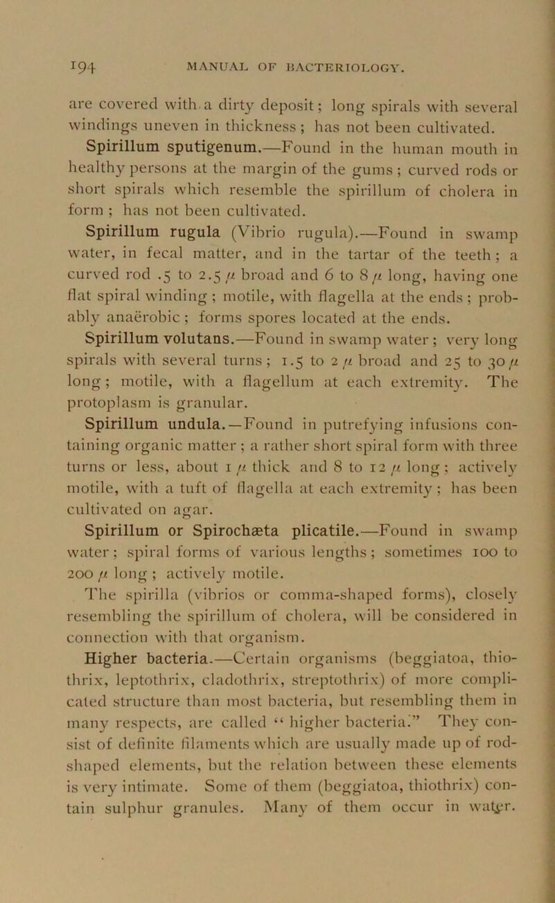 are covered with.a dirty deposit; long spirals with several windings uneven in thickness; has not been cultivated. Spirillum sputigenum.—Found in the human mouth in healthy persons at the margin of the gums ; curved rods or short spirals which resemble the spirillum of cholera in form ; has not been cultivated. Spirillum rugula (Vibrio rugula).—Found in swamp water, in fecal matter, and in the tartar of the teeth ; a curved rod .5 to 2.5 n broad and 6 to 8// long, having one flat spiral winding ; motile, wdth flagella at the ends ; prob- ably anaerobic ; forms spores located at the ends. Spirillum volutans.—Found in swamp water ; very long spirals with several turns; 1.5 to 2 n broad and 25 to 30 long; motile, with a flagellum at each extremity. The protoplasm is granular. Spirillum undula.—Found in putref}’ing infusions con- taining organic matter ; a rather short spiral form with three turns or less, about i a thick and 8 to 12 // long; actively motile, with a tuft of llagella at each extremity ; has been cultivated on agar. Spirillum or Spirochaeta plicatile.—Found in swamp water; spiral forms of various lengths; sometimes 100 to 200 n long ; actively motile. The spirilla (vibrios or comma-shaped forms), closely resembling the spirillum of cholera, will be considered in connection with that or<ianism. Higher bacteria.—Certain organisms (beggiatoa, thio- thrix, leptothrix, cladothrix, streptothrix) of more compli- cated structure than most bacteria, but resembling them in many respects, are called “ higher bacteria.” They con- sist of definite filaments which are usually made up of rod- shaped elements, but the relation between these elements is very intimate. Some of them (beggiatoa, thiothrix) con- tain sulphur granules. Many of them occur in wati.‘r.