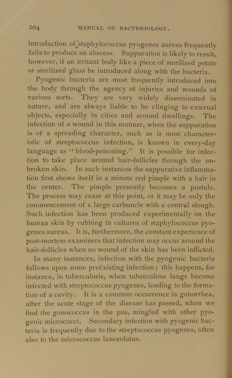 introduction orstaphylococcus pyogenes aureus frequently fails to produce an abscess. Suppuration is likely to result, however, if an irritant body like a piece of sterilized potato or sterilized glass be introduced along with the bacteria. Pyogenic bacteria are most frequently introduced into the body tbrougb tbe agency of injuries and wounds of various sorts. They are very widely disseminated in nature, and are always liable to be clinging to external objects, especiall}' in cities and around dwellings. The infection of a wound in this manner, when the suppuration is of a spreading character, such as is most character- istic of streptococcus infection, is known in every-day language as “blood-poisoning.” It is possible for infec- tion to take place around bair-follicles through the un- broken skin. In such instances the suppurative inflamma- tion first shows itself in a minute red pimple with a hair in the center. The pimple presently becomes a pustule. Tbe process may cease at this point, or it ma}'^ be only the commencement of a large carbuncle with a central slough. Such infection has been produced experimentally on tbe human skin by rubbing in cultures of staphylococcus pyo- genes aureus. It is, furthermore, the constant experience of post-mortem examiners that infection may occur around the hair-follicles when no wound of the skin has been inflicted. In many instances, infection with the pyogenic bacteria follows upon some preexisting infection ; this happens, for instance, in tuberculosis, when tuberculous lungs become infected with streptococcus pyogenes, leading to the forma- tion of a cavity. It is a common occurrence in gonorrhea, after the acute stage of the disease has passed, when we find the gonococcus in the pus, mingled with other pyo- genic micrococci. Secondary infection with pyogenic bac- teria is frequently due to the streptococcus pyogenes, often also to the micrococcus lanceolatus.