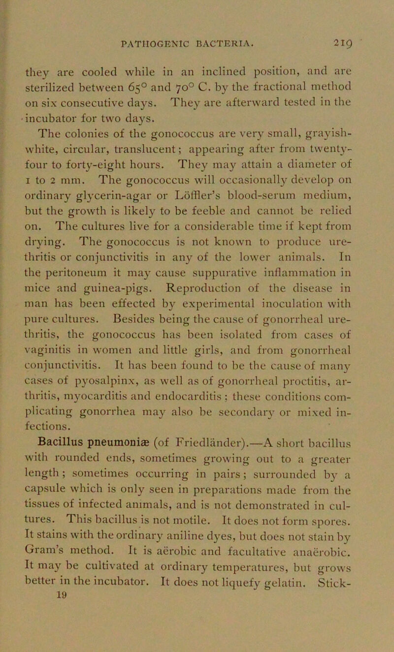 they are cooled while in an inclined position, and are sterilized between 65° and 70° C. by the fractional method on six consecutive days. They are afterward tested in the ■incubator for two days. The colonies of the gonococcus are very small, grayish- white, circular, translucent; appearing after from twenty- four to forty-eight hours. They may attain a diameter of I to 2 mm. The gonococcus will occasionally develop on ordinary glycerin-agar or Loffler’s blood-serum medium, but the growth is likely to be feeble and cannot be relied on. The cultures live for a considerable time if kept from drying. The gonococcus is not known to produce ure- thritis or conjunctivitis in any of the lower animals. In the peritoneum it may cause suppurative inflammation in mice and guinea-pigs. Reproduction of the disease in man has been effected by experimental inoculation with pure cultures. Besides being the cause of gonorrheal ure- thritis, the gonococcus has been isolated from cases of vaginitis in women and little girls, and from gonorrheal conjunctivitis. It has been found to be the cause of man}' cases of pyosalpinx, as well as of gonorrheal proctitis, ar- thritis, m3mcarditis and endocarditis ; these conditions com- plicating gonorrhea may also be secondaiy or mixed in- fections. Bacillus pneumoniae (of Friedlander).—A short bacillus with rounded ends, sometimes growing out to a greater length ; sometimes occurring in pairs; surrounded b}' a capsule which is only seen in preparations made from the tissues of infected animals, and is not demonstrated in cul- tures. This bacillus is not motile. It does not form spores. It stains with the ordinary aniline dyes, but does not stain by Gram’s method. It is aerobic and facultative anaerobic. It may be cultivated at ordinary temperatures, but grows better in the incubator. It does not liquefy gelatin. Stick- 19