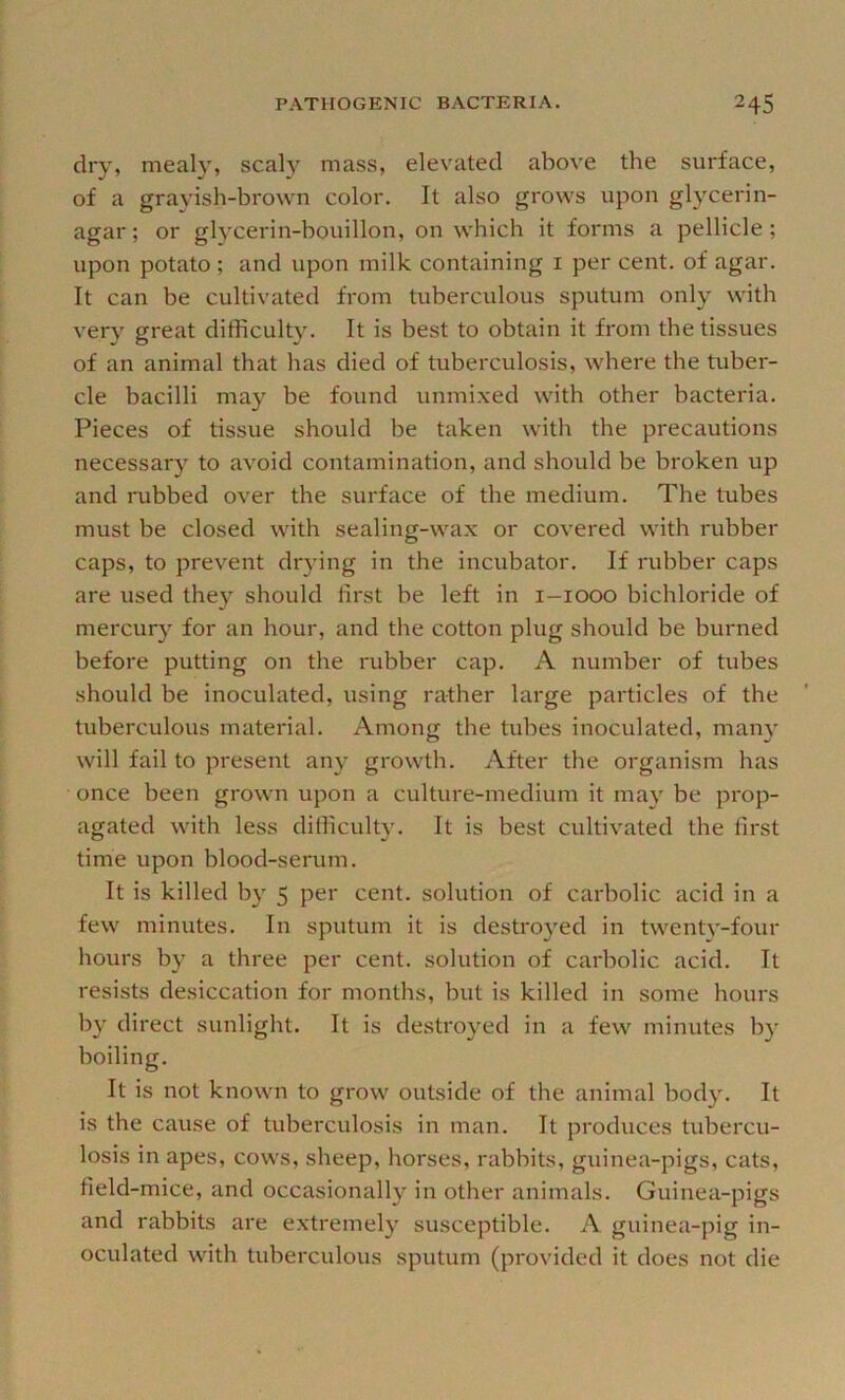 dry, mealy, scaly mass, elevated above the surface, of a grayish-brown color. It also grows upon glycerin- agar ; or glycerin-bouillon, on which it forms a pellicle; upon potato ; and upon milk containing i per cent, of agar. It can be cultivated from tuberculous sputum only with very great difficulty. It is best to obtain it from the tissues of an animal that has died of tuberculosis, where the tuber- cle bacilli may be found unmixed with other bacteria. Pieces of tissue should be taken with the precautions necessary to avoid contamination, and should be broken up and laibbed over the surface of the medium. The tubes must be closed with sealing-wax or covered with rubber caps, to prevent drying in the incubator. If rubber caps are used they should first be left in i-iooo bichloride of mercury for an hour, and the cotton plug should be burned before putting on the rubber cap. A number of tubes should be inoculated, using rather large particles of the tuberculous material. Among the tubes inoculated, many will fail to present any growth. After the organism has once been grown upon a culture-medium it may be prop- agated with less difficulty. It is best cultivated Ibe first time upon blood-serum. It is killed by 5 per cent, solution of carbolic acid in a few minutes. In sputum it is destroyed in twenty-four hours by a three per cent, solution of carbolic acid. It resists desiccation for months, but is killed in some hours by direct sunlight. It is destroyed in a few minutes by It is not known to grow outside of the animal body. It is the cause of tuberculosis in man. It produces tubercu- losis in apes, cows, sheep, horses, rabbits, guinea-pigs, cats, field-mice, and occasionally in other animals. Guinea-pigs and rabbits are extremely susceptible. A guinea-pig in- oculated with tuberculous sputum (provided it does not die