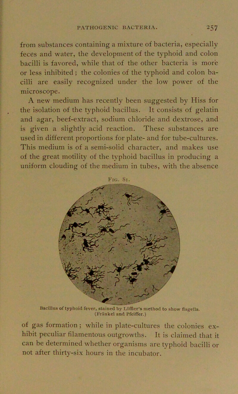 from substances containing a mixture of bacteria, especially feces and water, the development of the typhoid and colon bacilli is favored, while that of the other bacteria is more or less inhibited; the colonies of the typhoid and colon ba- cilli are easily recognized under the low power of the microscope. A new medium has recently been suggested by Hiss for the isolation of the typhoid bacillus. It consists of gelatin and agar, beef-extract, sodium chloride and dextrose, and is given a slightly acid reaction. These substances are used in different proportions for plate- and for tube-cultures. This medium is of a semi-solid character, and makes use of the great motility of the typhoid bacillus in producing a uniform clouding of the medium in tubes, with the absence Fig. Si. Bacillus of typhoid fever, stained by Loffler’s method to show flagella. (Fraiikel and Pfeiffer.) of gas formation; while in plate-cultures the colonies ex- hibit peculiar filamentous outgrowths. It is claimed that it can be determined whether organisms are typhoid bacilli or not after thirty-six hours in the incubator.