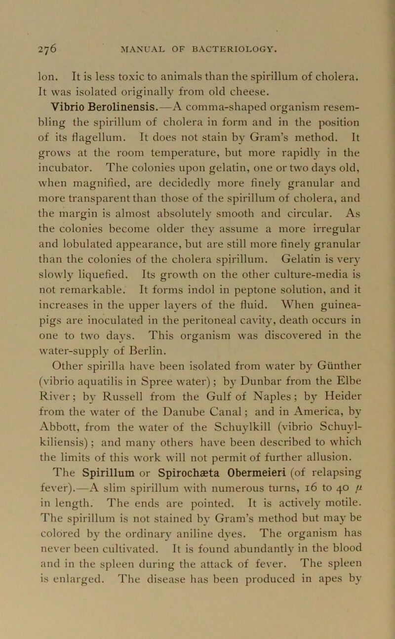 Ion. It is less to.xic to animals than the spirillum of cholera. It was isolated originally from old cheese. Vibrio Berolinensis.—A comma-shaped organism resem- bling the spirillum of cholera in form and in the position of its flagellum. It does not stain by Gram’s method. It grows at the room temperature, but more rapidly in the incubator. The colonies upon gelatin, one or two days old, when magnified, are decidedly more finel}’^ granular and more transparent than those of the spirillum of cholera, and the margin is almost absolutely smooth and circular. As the colonies become older they assume a more irregular and lobulated appearance, but are still more finely granular than the colonies of the cholera spirillum. Gelatin is very slowly liquefied. Its growth on the other culture-media is not remarkable. It forms indol in peptone solution, and it increases in the upper layers of the fluid. When guinea- pigs are inoculated in the peritoneal cavity, death occurs in one to two days. This organism was discovered in the water-suppl}' of Berlin. Other spirilla have been isolated from water by Gunther (vibrio aquatilis in Spree water); by Dunbar from the Elbe River; by Russell from the Gulf of Naples; by Heider from the water of the Danube Canal; and in America, by Abbott, from the water of the Schuylkill (vibrio Schuyl- kiliensis); and man} others have been described to which the limits of this work will not permit of further allusion. The Spirillum or Spirochaeta Obermeieri (of relapsing fever).—A slim spirillum with numerous turns, 16 to 40 [i in length. The ends are pointed. It is actively motile. The spirillum is not stained by Gram’s method but may be colored by the ordinary aniline dyes. The organism has never been cultivated. It is found abundantly in the blood and in the spleen during the attack of fever. The spleen is enlarged. The disease has been produced in apes by