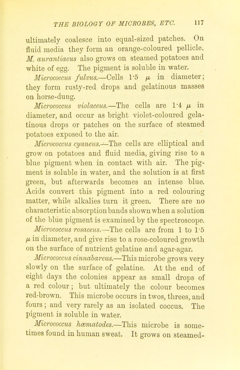 ultimately coalesce into equal-sized patches. On fluid media they form an orange-coloured pellicle. M. aurantiacus also grows on steamed potatoes and white of egg. The pigment is soluble in water. Micrococcus fidvus.—Cells 1-5 fj, in diameter; they form rusty-red drops and gelatinous masses on horse-dung. Micrococcus violaceus.—The cells are 1'4 yu, in diameter, and occur as bright violet-coloured gela- tinous drops or patches on the surface of steamed potatoes exposed to the air. Micrococcus cyancus.—T\iQ. cells are elliptical and grow on potatoes and fluid media, giving rise to a blue pigment when in contact with air. The pig- ment is soluble in water, and the solution is at first green, but afterwards becomes an intense blue. Acids convert this pigment into a red colouring matter, while alkalies turn it green. There are no characteristic absorption bands shown when a solution of the blue pigment is examined by the spectroscope. Mic7'ococcus rosaceus.—The cells are from 1 to 1'5 fj, in diameter, and give rise to a rose-coloured growth on the surface of nutrient gelatine and agar-agar. Micrococcus cinnahareus.—This microbe grows very slowly on the surface of gelatine. At the end of eight days the colonies appear as small drops of a red colour; but ultimately the colour becomes red-brown. This microbe occurs in twos, threes, and fours; and very rarely as an isolated coccus. The pigment is soluble in water. Micrococcus hcematodes.—This microbe is some- times found in human sweat. It grows on steamed-