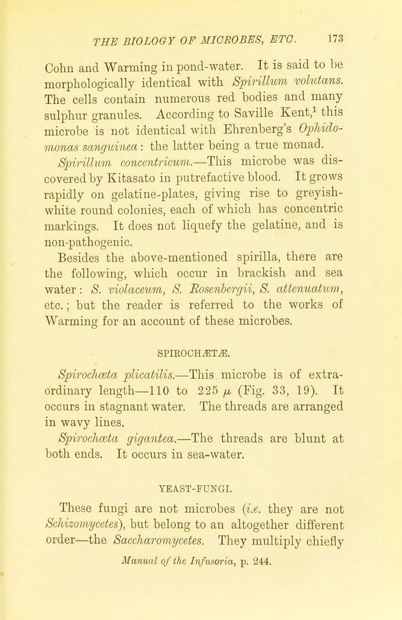 Cohn and Warming in pond-water. It is said to be morphologically identical with Spirillum volutans. The cells contain numerous red bodies and many- sulphur granules. According to Saville Kent/ this microbe is not identical with Ehrenberg's Ophido- monas sanguinea: the latter being a true monad. Spirillum conccntricum.—This microbe was dis- covered by Kitasato in putrefactive blood. It grows rapidly on gelatine-plates, giving rise to greyish- white round colonies, each of which has concentric markings. It does not liquefy the gelatine, and is non-pathogenic. Besides the above-mentioned spirilla, there are the following, which occur in brackish and sea water: S. violaceum, S. Rosenbercjii, S. attenuatum, etc.; but the reader is referred to the works of Warming for an account of these microbes. SPIROCH^T^. Spirochceta plicatilis.—This microbe is of extra- ordinary length—110 to 225 /x (Fig. 33, 19). It occurs in stagnant water. The threads are arranged in wavy lines. Spirochceta gigantea.—The threads are blunt at both ends. It occurs in sea-water. YEAST-FUNGI. These fungi are not microbes {i.e. they are not Schizoviycctes), but belong to an altogether different order—the Saccharomycetes. They multiply chiefly Manual of the Infimria, p. 244.