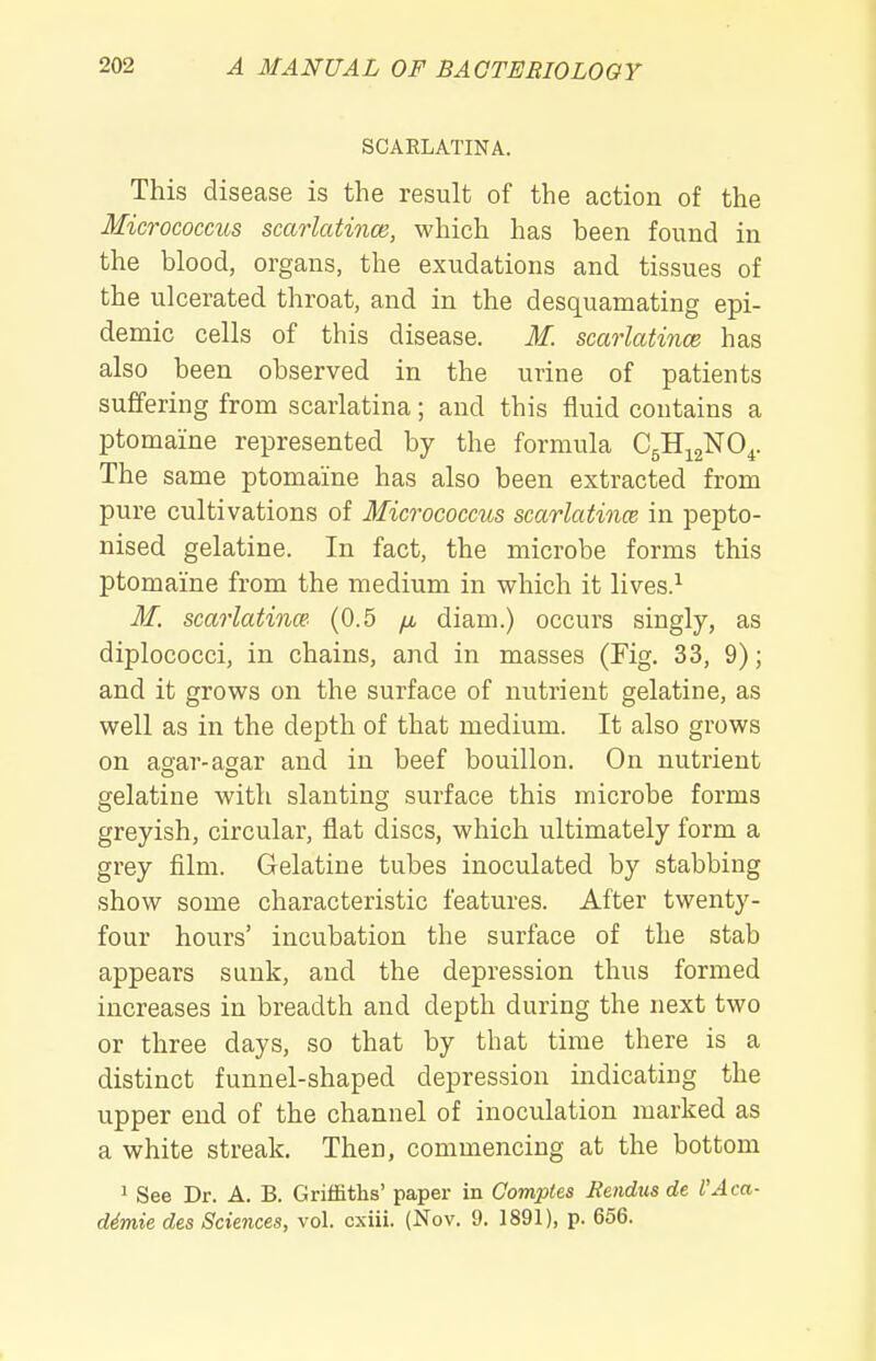 SCARLATINA. This disease is the result of the action of the Micrococcus sccirlatince, which has been found in the blood, organs, the exudations and tissues of the ulcerated throat, and in the desquamating epi- demic cells of this disease. M. scarlatince has also been observed in the urine of patients suffering from scarlatina; and this fluid contains a ptomaine represented by the formula CgH^j^O^. The same ptomaine has also been extracted from pure cultivations of Micrococcus scarlatince in pepto- nised gelatine. In fact, the microbe forms this ptomaine from the medium in which it lives.^ M. scao'latinm (0.5 fju diam.) occurs singly, as diplococci, in chains, and in masses (Fig. 33, 9); and it grows on the surface of nutrient gelatine, as well as in the depth of that medium. It also grows on agar-agar and in beef bouillon. On nutrient gelatine with slanting surface this microbe forms greyish, circular, flat discs, which ultimately form a grey film. Gelatine tubes inoculated by stabbing show some characteristic features. After twenty- four hours' incubation the surface of the stab appears sunk, and the depression thus formed increases in breadth and depth during the next two or three days, so that by that time there is a distinct funnel-shaped depression indicating the upper end of the channel of inoculation marked as a white streak. Then, commencing at the bottom 1 See Dr. A. B. Griffiths' paper in Comples Jtendus de I'Aca- ddmie des Sciences, vol. cxiii. (Nov. 9. 1891), p. 656.