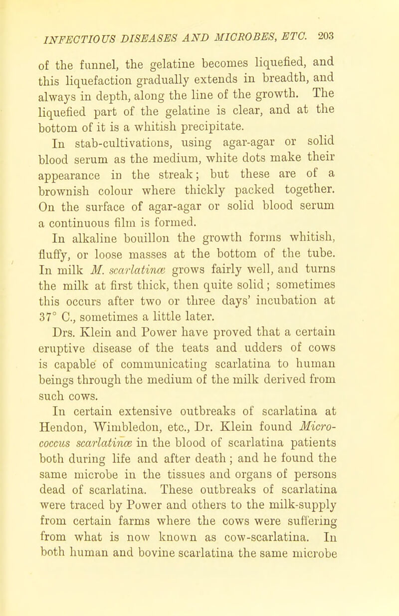 of the funnel, the gelatine becomes liquefied, and this liquefaction gradually extends in breadth, and always in depth, along the line of the growth. The liquefied part of the gelatine is clear, and at the bottom of it is a whitish precipitate. In stab-cultivations, using agar-agar or solid blood serum as the medium, white dots make their appearance in the streak; but these are of a brownish colour where thickly packed together. On the surface of agar-agar or solid blood serum a continuous film is formed. In alkaline bouillon the growth forms whitish, fluffy, or loose masses at the bottom of the tube. In milk M. scarlatina} grows fairly well, and turns the milk at first thick, then quite solid; sometimes this occurs after two or three days' incubation at 37° C, sometimes a little later. Drs. Klein and Power have proved that a certain eruptive disease of the teats and udders of cows is capable of communicating scarlatina to human beings through the medium of the milk derived from such cows. In certain extensive outbreaks of scarlatina at Heudon, Wimbledon, etc.. Dr. Klein found Micro- cocms scarlatmce in the blood of scarlatina patients both during life and after death ; and he found the same microbe in the tissues and organs of persons dead of scarlatina. These outbreaks of scarlatina were traced by Power and others to the milk-supply from certain farms where the cows were suffering from what is now known as cow-scarlatina. In both human and bovine scarlatina the same microbe