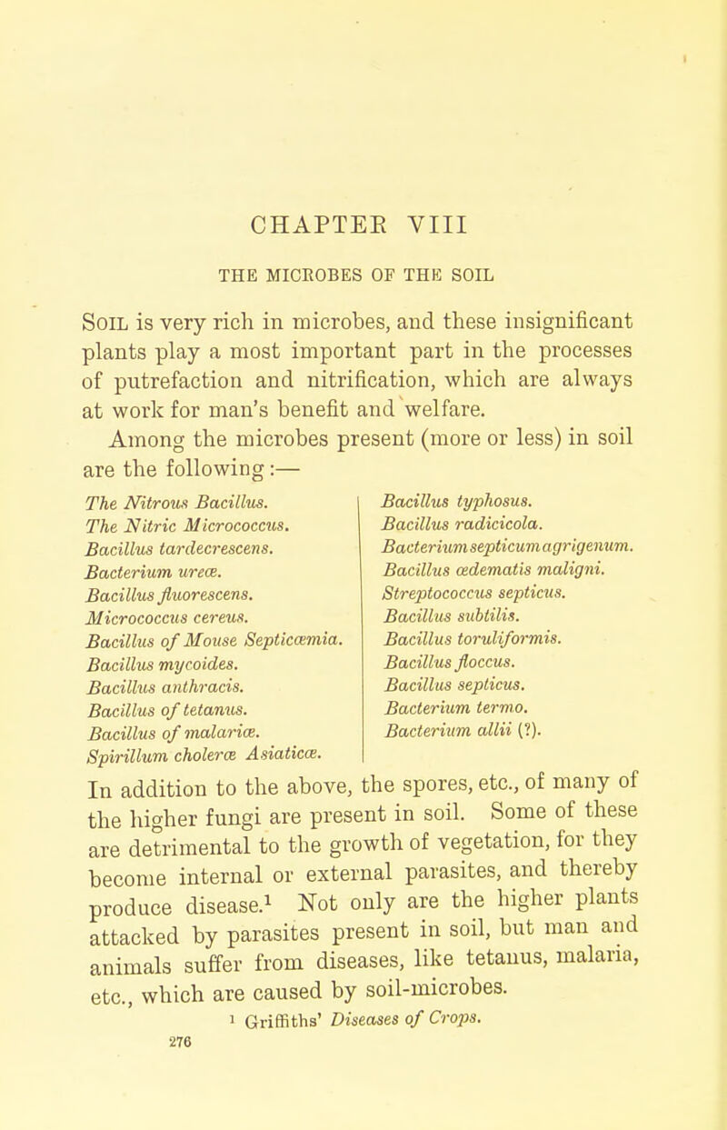 CHAPTEE VIII THE MICROBES OF THE SOIL Soil is very rich in microbes, and these insignificant plants play a most important part in the processes of putrefaction and nitrification, which are always at work for man's benefit and welfare. Among the microbes present (more or less) in soil are the following:— The Nitrous Bacillus. The Nitric Micrococcus. Bacillus tar deer escens. Bacterium urece. Bacillus fluorescens. Micrococcus cereus. Bacillus of Mouse Septicemia. Bacillus mycoides. Bacilhis anlhracis. Bacillus of tetanus. Bacillus typhosus. Bacillus radicicola. Bacterium septicuvi agrigenum. Bacillus cedematis maligni. Streptococcus septicus. Bacillus suhtilis. Bacillus toruliformis. Bacillus floccus. Bacillus septicus. Bacterium ternw. Bacterium allii {?). Bacillus of malarim. Spirillum cholerce Asiaticce. In addition to the above, the spores, etc., of many of the higher fungi are present in soil. Some of these are detrimental to the growth of vegetation, for they become internal or external parasites, and thereby produce disease.^ Not only are the higher plants attacked by parasites present in soil, but man and animals suffer from diseases, like tetanus, malaria, etc., which are caused by soil-microbes. ' Griffiths' Diseases of Crops.
