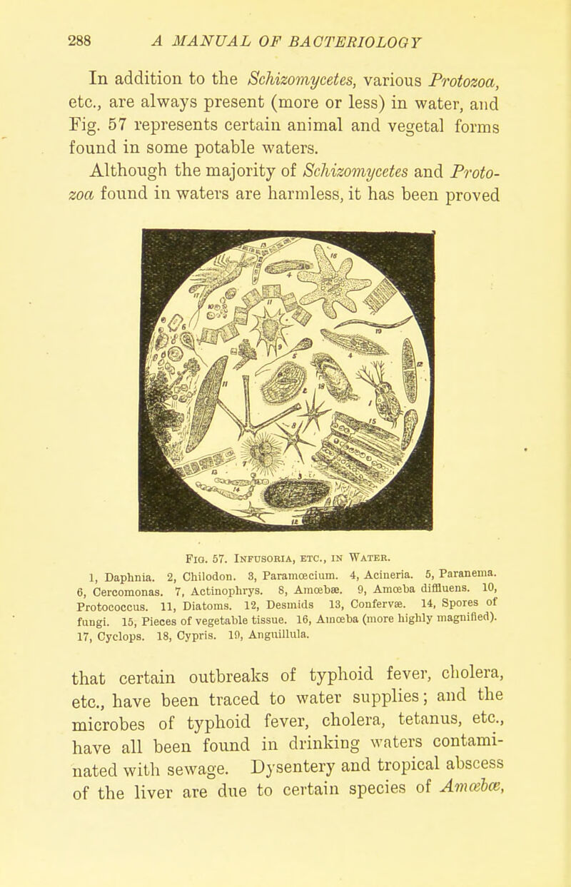 In addition to the Schizomycetes, various Protozoa, etc., are always present (more or less) in water, and Fig. 57 represents certain animal and vegetal forms found in some potable waters. Although the majority of Schizomycetes and Proto- zoa found in waters are harmless, it has been proved Pio. 57. Infusoria, etc., in Water. 1, Daphnia. 2, Chilodon. 3, ParamcEcium. 4, Acineria. 5, Paranema. 6, Cercomonas. 7, Aotinophrys. S, Amoebse. 9, Amoelia difflueiis. 10, Protocoocus. 11, Diatoms. 12, Desinids 13, Conferva. 14, Spores of fungi. 15, Pieces of vegetable tissue. 16, Amoeba (more highly magnified). 17, Cyclops. 18, Cypris. 10, Anguillula. that certain outbreaks of typhoid fever, cholera, etc., have been traced to water supplies; and the microbes of typhoid fever, cholera, tetanus, etc., have all been found in drinking waters contami- nated with sewage. Dysentery and tropical abscess of the liver are due to certain species of Amoebce,