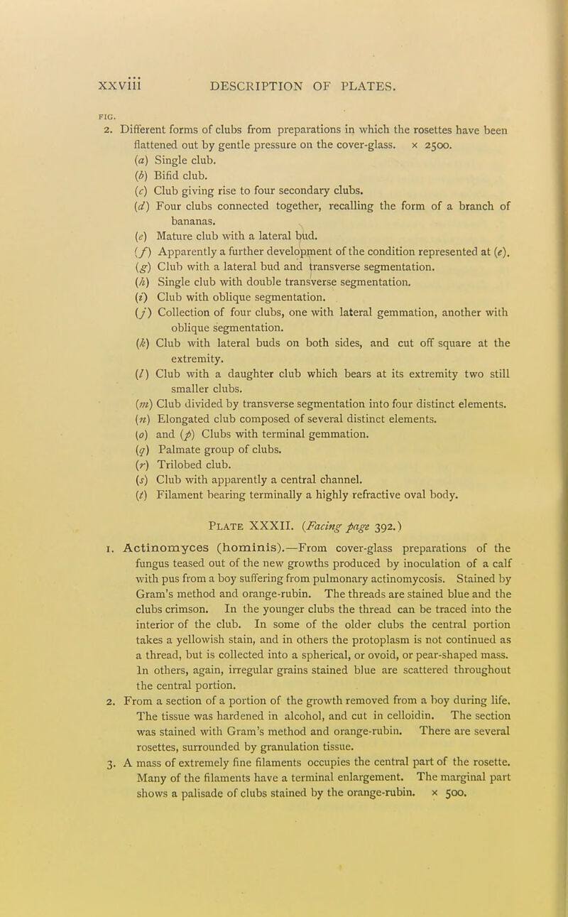 FIG. 2. Different forms of clubs from preparations in which the rosettes have been flattened out by gentle pressure on the cover-glass, x 2500. (a) Single club. {6) Bifid club. (c) Club giving rise to four secondary clubs. (a') Four clubs connected together, recalling the form of a branch of bananas, (e) Mature club with a lateral bud. {/) Apparently a further development of the condition represented at (e). (g) Club with a lateral bud and jransverse segmentation. (/i) Single club with double transverse segmentation. (i) Club with oblique segmentation. (/) Collection of four clubs, one with lateral gemmation, another with oblique segmentation. {k) Club with lateral buds on both sides, and cut off square at the extremity. (/) Club with a daughter club which bears at its extremity two still smaller clubs. (w) Club divided by transverse segmentation into four distinct elements. (n) Elongated club composed of several distinct elements. (0) and (/) Clubs with terminal gemmation. (^) Palmate group of clubs. {r) Trilobed club. (j) Club with apparently a central channel. (/) Filament bearing terminally a highly refractive oval body. Plate XXXII. (Facing page 392.) 1. Actinomyces (hominis).—From cover-glass preparations of the fungus teased out of the new growths produced by inoculation of a calf with pus from a boy suffering from pulmonary actinomycosis. Stained by Gram's method and orange-rubin. The threads are stained blue and the clubs crimson. In the younger clubs the thread can be traced into the interior of the club. In some of the older clubs the central portion takes a yellowish stain, and in others the protoplasm is not continued as a thread, but is collected into a spherical, or ovoid, or pear-shaped mass. In others, again, irregular grains stained blue are scattered throughout the central portion. 2. From a section of a portion of the growth removed from a boy during life. The tissue was hardened in alcohol, and cut in celloidin. The section was stained with Gram's method and orange-rubin. There are several rosettes, surrounded by granulation tissue. 3. A mass of extremely fine filaments occupies the central part of the rosette. Many of the filaments have a terminal enlargement. The marginal part shows a palisade of clubs stained by the orange-rubin. x 500,