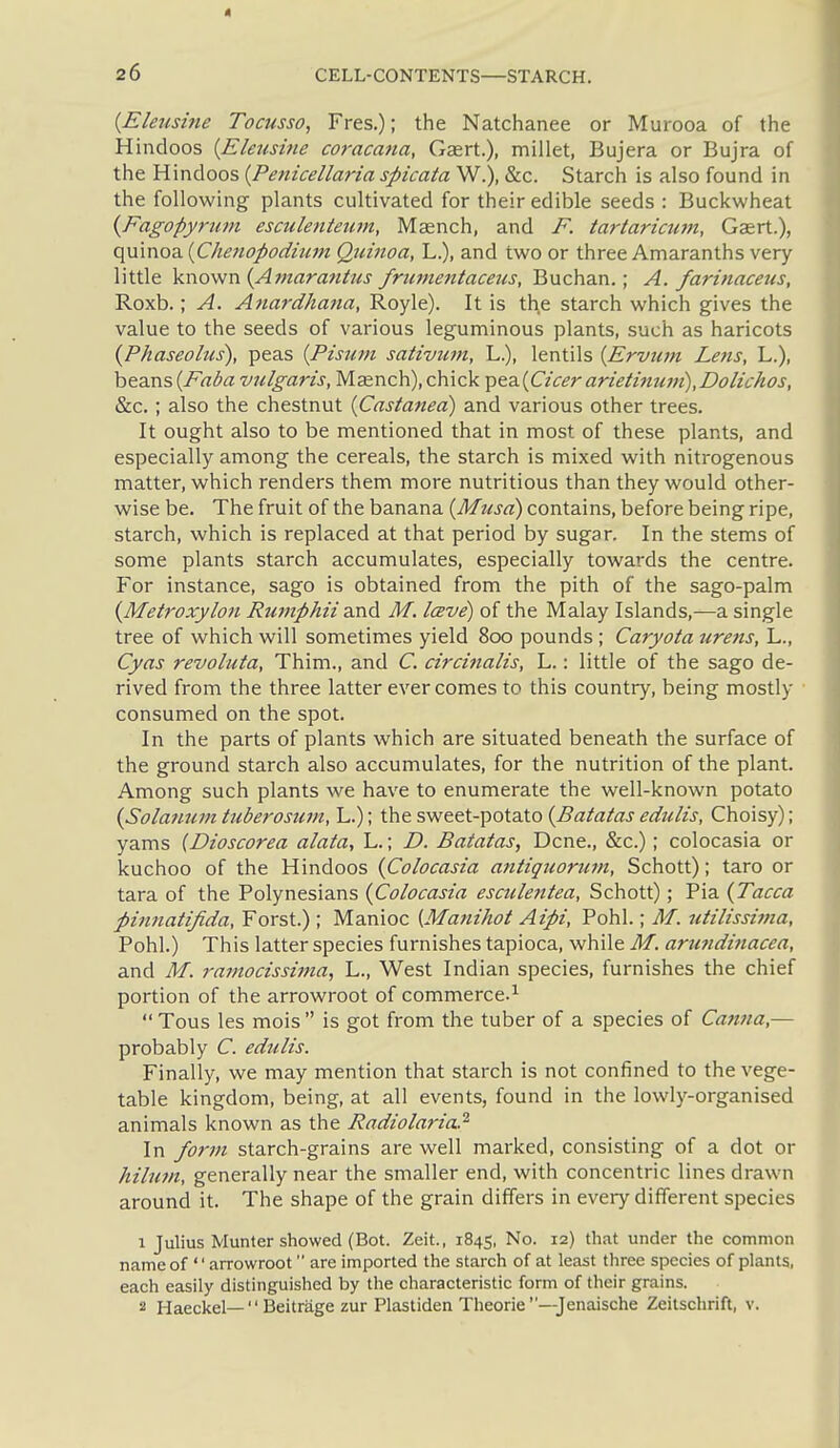 {Eleusine Tocusso, Fres.); the Natchanee or Murooa of the Hindoos {Eleusine coracana, Gsert.), millet, Bujera or Bujra of the Hindoos {Penicellaria spicata W.), &c. Starch is also found in the following plants cultivated for their edible seeds : Buckwheat {Fagopyrum esculenteum, Maench, and F. tartaricujn, Gasrt.), quinoa {Chenopodium Quinoa, L.), and two or three Amaranths very little known {Amarantus frumentaceus, Buchan.; A. farinaceus, Roxb.; A. Anardhaiia, Royle). It is the starch which gives the value to the seeds of various leguminous plants, such as haricots iPhaseolus), peas {Pisiim sativum, L.), lentils {Ervum Lens, L.), beans{Faba vulgaris, Meench),chick ^e.2i(jCicerarietinu7it),Dolichos, &c.; also the chestnut {Casianed) and various other trees. It ought also to be mentioned that in most of these plants, and especially among the cereals, the starch is mixed with nitrogenous matter, which renders them more nutritious than they would other- wise be. The fruit of the banana {Musa) contains, before being ripe, starch, which is replaced at that period by sugar. In the stems of some plants starch accumulates, especially towards the centre. For instance, sago is obtained from the pith of the sago-palm {Metroxylon Rumphii and M. Iceve) of the Malay Islands,—a single tree of which will sometimes yield 800 pounds; Caryota urens, L., Cyas revoluta, Thim., and C. circinalis, L.: little of the sago de- rived from the three latter ever comes to this country, being mostly consumed on the spot. In the parts of plants which are situated beneath the surface of the ground starch also accumulates, for the nutrition of the plant. Among such plants we have to enumerate the well-known potato {Solamun tuberosum, L.); the sweet-potato {Batatas edulis, Choisy); yams {Dioscorea alata, L.; D. Batatas, Dene., &c.); colocasia or kuchoo of the Hindoos {Colocasia antiquorum, Schott); taro or tara of the Polynesians {Colocasia esculentea, Schott); Pia {Tacca pinnatifida, Forst.) ; Manioc {Manihot Aipi, Pohl.; M. utilissiina, Pohl.) This latter species furnishes tapioca, while M. arundinacea, and M. ramocissiina, L., West Indian species, furnishes the chief portion of the arrowroot of commerce.'^  Tous les mois  is got from the tuber of a species of Canna,— probably C. edulis. Finally, we may mention that starch is not confined to the vege- table kingdom, being, at all events, found in the lowly-organised animals known as the Radiolaria.^ In form starch-grains are well marked, consisting of a dot or hilum, generally near the smaller end, with concentric lines drawn around it. The shape of the grain differs in every different species 1 Julius Munter showed (Bot. Zeit., 1845, No. 12) that under the common name of  arrowroot  are imported the starch of at least three species of plants, each easily distinguished by the characteristic form of their grains. 2 Haeckel—Beitrage zur Plastiden Theorie—Jenaische Zeitschrift, v.
