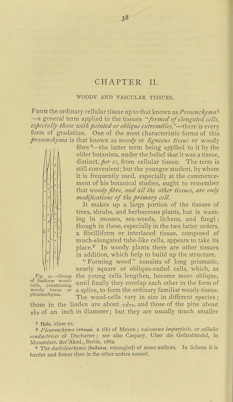 CHAPTER II. WOODY AND VASCULAR TISSUES. From the ordinary cellular tissue up to that known as Prosenchyviay —a general term applied to the tissues formed of elongated cells, especially those with pointed or oblique extremities—there is every form of gradation. One of the most characteristic forms of this prosenchyma is that known as woody or ligneous tissue or woody fibre ^—the latter term being applied to it by the older botanists, under the belief that it was a tissue, distinct, per se, from cellular tissue. The term is still convenient; but the younger student, by whom it is frequently used, especially at the commence- ment of his botanical studies, ought to remember that woody fibre, and all the other tissues, are only modificatio7is of the primary cell. It makes up a large portion of the tissues of trees, shrubs, and herbaceous plants, but is want- ing in mosses, sea-weeds, lichens, and fungi; though in these, especially in the two latter orders, a fibrilliform or interlaced tissue, composed of much-elongated tube-like cells, appears to take its place.^ In woody plants there are other tissues in addition, which help to build up the structure.  Forming wood consists of long prismatic, nearly square or oblique-ended cells, which, as Fig. 22.—Group the young cells lengthen, become more oblique, cells''wnstirtCfg until finally they overlap each other in the form of woody tissue or a splice, to form the Ordinary familiar woody tissue. pleurenchyma. 'YYi^ wood-cells vary in size in different species ; those in the linden are about, tsttt. and those of the pine about riu of an inch in diameter; but they are usually much smaller 1 Upbs, close to. 2 Pleii7-enchyma {nkcvpa, a rib) of Meyen ; vaisscaux impar/aifs, or cellules conductrices of Duclmrtre ; see also Caspary, Uber die Gefassbiindel, in Monatsber. der'Akad., Berlin, 1862. 3 The dadaleiichyma (SaiSoAos, entangled) of some authors. In lichens it is harder and firmer than in the other orders named.