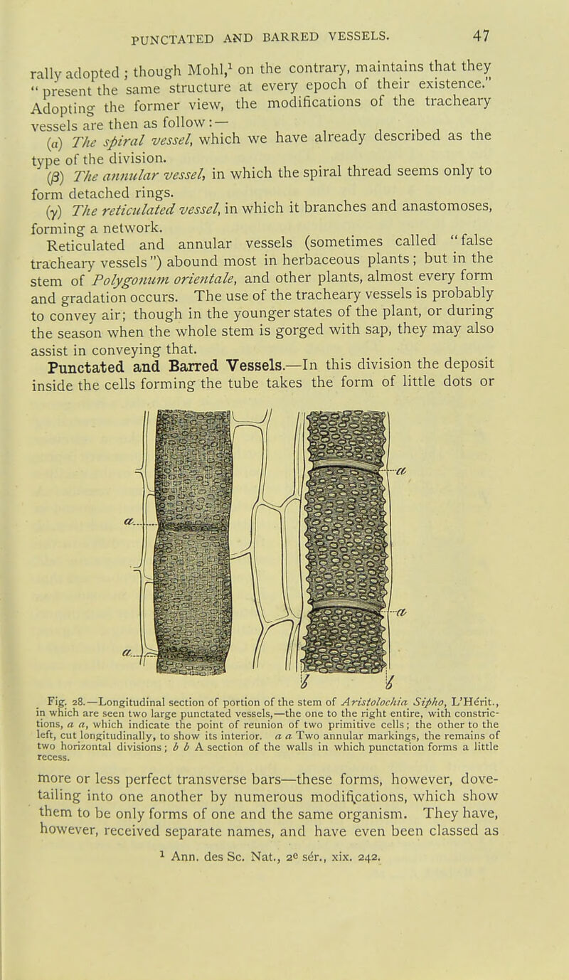rally adopted ; though Mohl,^ on the contrary, maintains that they  present the same structure at every epoch of their existence. Adopting the former view, the modifications of the tracheary vessels are then as follow:— - (a) The spiral vessel, which we have already described as the type of the division. 0) The annular vessel, in which the spiral thread seems only to form detached rings. (y) The reticulated vessel, in which it branches and anastomoses, forming a network. Reticulated and annular vessels (sometimes called false tracheary vessels ) abound most in herbaceous plants ; but in the stem of Polyg07ium orientate, and other plants, almost every form and gradation occurs. The use of the tracheary vessels is probably to convey air; though in the younger states of the plant, or during the season when the whole stem is gorged with sap, they may also assist in conveying that. Punctated and Barred Vessels.—In this division the deposit inside the cells forming the tube takes the form of little dots or 't-^ ilia 'i5i:-;i^;\ Fig. 28.—Longitudinal section of portion of the stem of Arisiolochia Sipho, L'Herit., in which are seen two large punctated vessels,—the one to the right entire, with constric- tions, a a, which indicate the point of reunion of two primitive cells; the other to the left, cut longitudinally, to show its interior, a a Two annular markings, the remains of two horizontal divisions; b b A section of the walls in which punctation forms a little recess. more or less perfect transverse bars—these forms, however, dove- tailing into one another by numerous modifi^cations, which show them to be only forms of one and the same organism. They have, however, received separate names, and have even been classed as