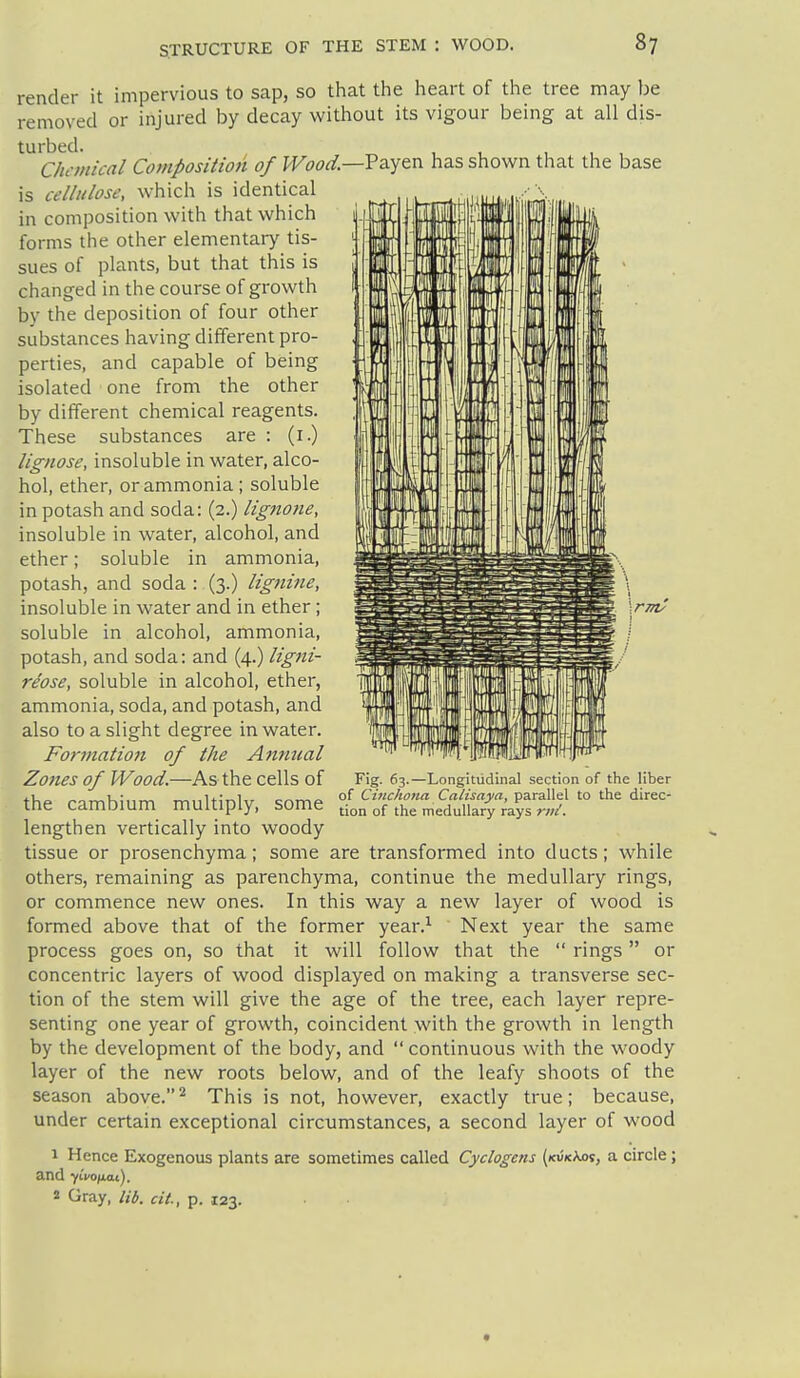 -Payen has shown that the base ll render it impervious to sap, so that the heart of the tree may be removed or injured by decay without its vigour being at all dis- turbed. Chemical Composition of Wood.- is cellulose, which is identical in composition with that which forms the other elementar>^ tis- sues of plants, but that this is changed in the course of growth by the deposition of four other substances having different pro- perties, and capable of being isolated one from the other by different chemical reagents. These substances are : (i.) lignose, insoluble in water, alco- hol, ether, or ammonia ; soluble in potash and soda: (2.) ligftone, insoluble in water, alcohol, and ether; soluble in ammonia, potash, and soda : (3.) lignine, insoluble in water and in ether; soluble in alcohol, ammonia, potash, and soda: and (4.) ligni- re'ose, soluble in alcohol, ether, ammonia, soda, and potash, and also to a slight degree in water. Formatioft of the Annual Zones of Wood.—As the cells of the cambium multiply, some lengthen vertically into woody tissue or prosenchyma; some are transformed into ducts; while others, remaining as parenchyma, continue the medullary rings, or commence new ones. In this way a new layer of wood is formed above that of the former year.^ Next year the same process goes on, so that it will follow that the  rings or concentric layers of wood displayed on making a transverse sec- tion of the stem will give the age of the tree, each layer repre- senting one year of growth, coincident with the growth in length by the development of the body, and continuous with the woody layer of the new roots below, and of the leafy shoots of the season above.^ This is not, however, exactly true; because, under certain exceptional circumstances, a second layer of wood 1 Hence Exogenous plants are sometimes called Cyclogens (kvkAos, a circle; and yiVojiot). 2 Gray, lib. cit., p. 123. Fig. 63.—Longitudinal section of the liber of Cinchona Calisaya, parallel to the direc- tion of the medullary rays rvi.