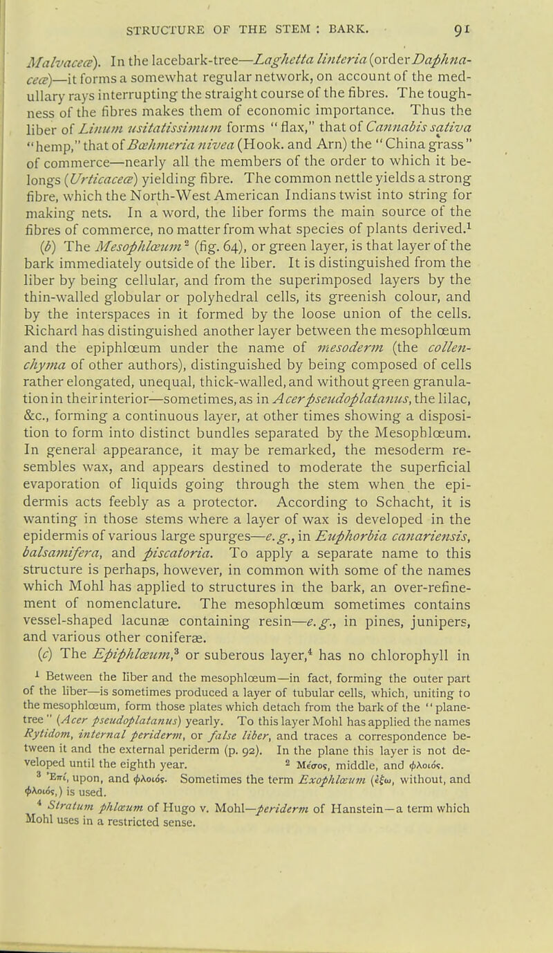 Malvacece). In the lacebark-tree—Laghetta lititeria {ordtrDaphna- 1 cece)—it forms a somewhat regular network, on account of the med- 1 uUary rays interrupting the straight course of the fibres. The tough- ' ness of the fibres makes them of economic importance. Thus the I , liber of Linum usitatissimum forms flax, \h2XoiCannabissativa hemp,thatof^ciV/wi^r/^zw/wrt (Hook, and Arn) the Chinagrass I of commerce—nearly all the members of the order to which it be- I longs yielding fibre. The common nettle yields a strong \ fibre, which the North-West American Indians twist into string for i making nets. In a word, the liber forms the main source of the i fibres of commerce, no matter from what species of plants derived.^ {b) The Mesophlaiim (fig. 64), or green layer, is that layer of the bark immediately outside of the liber. It is distinguished from the liber by being cellular, and from the superimposed layers by the , ' thin-walled globular or polyhedral cells, its greenish colour, and \ by the interspaces in it formed by the loose union of the cells. ' Richard has distinguished another layer between the mesophloeum I and the epiphloeum under the name of mesoderm (the collen- I chyma of other authors), distinguished by being composed of cells | rather elongated, unequal, thick-walled, and without green granula- j tion in their interior—sometimes, as in Acerpsetcdoplatanus, the lilac, &c., forming a continuous layer, at other times showing a disposi- tion to form into distinct bundles separated by the Mesophloeum. In general appearance, it may be remarked, the mesoderm re- I sembles wax, and appears destined to moderate the superficial j evaporation of liquids going through the stem when the epi- ' dermis acts feebly as a protector. According to Schacht, it is I wanting in those stems where a layer of wax is developed in the epidermis of various large spurges—e.g., in Euphorbia canariensis, balsai?tifera, and piscatoria. To apply a separate name to this structure is perhaps, however, in common with some of the names which Mohl has applied to structures in the bark, an over-refine- | ment of nomenclature. The mesophloeum sometimes contains ' vessel-shaped lacunae containing resin—e.g., in pines, junipers, and various other coniferae. (c) The Epiphloeum? or suberous layer,* has no chlorophyll in i i Between the liber and the mesophloeum—in fact, forming the outer part of the Hber—is sometimes produced a layer of tubular cells, which, uniting to the mesophloeum, form those plates which detach from the bark of the plane- tree  {Acer pseudoplatanus) yearly. To this layer Mohl has applied the names , Rytidotn, internal periderm, or false liber, and traces a correspondence be- tween it and the external periderm (p. 92). In the plane this layer is not de- veloped until the eighth year. 2 Metros, middle, and ^Xoio's. ' El', upon, and ^\oi.6%. Sometimes the term Exophlmtm {el<u, without, and <f>Kow<;,) is used. Stratum phlceum of Hugo v. MohX—periderm of Hanstein—a term which Mohl uses in a restricted sense.