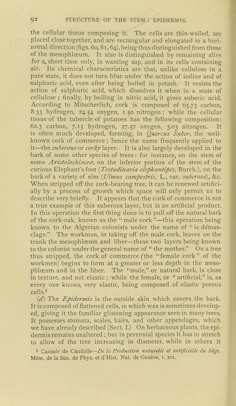 the cellular tissue composing it. The cells are thin-walled, are placed close tog-ether, and are rectangular and elongated in a hori- zontal direction (figs. 60, 61,64), being thus distinguished from those of the mesophloeum. It also is distinguished by remaining alive for a, short time only, in wanting sap, and in its cells containing air. Its chemical characteristics are that, unlike cellulose in a pure state, it does not turn blue under the action of iodine and of sulphuric acid, even after being boiled in potash. It resists the action of sulphuric acid, which dissolves it when in a state of cellulose ; finally, by boiling in nitric acid, it gives suberic acid. According to Mitscherlich, cork is composed of 65.73 carbon, 8.33 hydrogen, 24.54 oxygen, 1.50 nitrogen; while the cellular tissue of the tubercle of potatoes has the following composition: 62.3 carbon, 7.15 hydrogen, 27.57 oxygen, 3.03 nitrogen. It is often much developed, forming, in Quercus Suber, the well- known cork of commerce; hence the name frequently applied to it—the suberous or corky layer. It is also largely developed in the bark of some other species of trees : for instance, on the stem of some AristolochiacecB, on the inferior portion of the stem of the curious Elephant's foot [Testudinaria elephantipes, Burch.), on the bark of a variety of elm {Ulmus campestris, L., var. suberosa), &c. When stripped off the cork-bearing tree, it can be renewed artifici- ally by a process of growth which space will only permit us to describe very briefly. It appears that the cork of commerce is not a true example of this suberous layer, but is an artificial product. In this operation the first thing done is to pull off the natural bark of the cork-oak, known as the  male cork —this operation being known to the Algerian colonists under the name of  le ddmas- clage. The workman, in taking off the male cork, leaves on the trunk the mesophloeum and liber—these two layers being known to the colonist under the general name of  the mother. On a tree thus stripped, the cork of commerce (the  female cork  of the workmen) begins to form at a greater or less depth in the meso- phloeum and in the liber. The male, or natural bark, is close in texture, and not elastic ; while the female, or  artificial, is, as every one knows, very elastic, being composed of elastic porous cells.^ (d) The Epidermis is the outside skin which covers the bark. It is composed of flattened cells, in which wax is sometimes develop- ed, giving it the familiar glistening appearance seen in many trees. It possesses stomata, scales, hairs, and other appendages, which we have already described (Sect. I.) On herbaceous plants, the epi- dermis remains unaltered ; but in perennial species it has to stretch to allow of the tree increasing in diameter, while in others it 1 Casimir de Candolle—De la Prcduction iiaturclle ct artificiellc dtt liege. Mdm. de la Soc. de Phys. at d'Mist. Nat. de Genfeve, t. xvi.
