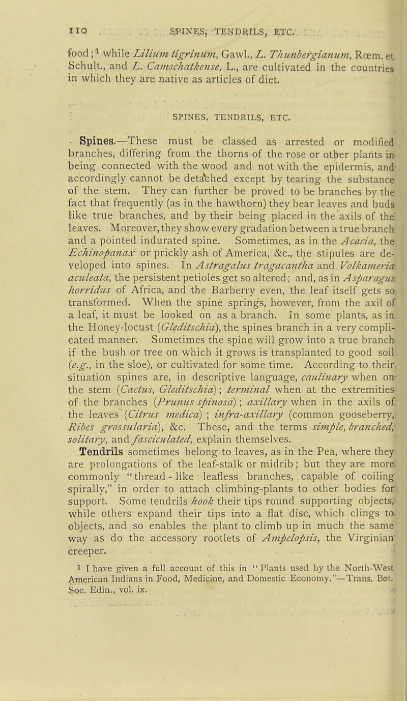 food ;i while Lilium tigrimhn, Gawl., L. Thunbergia7ium, Roem. el Schult., and L. Cainschatkense, L., are cultivated in the countries in which they are native as articles of diet. •i SPINES. TENDRILS, ETC. - Spines.—These must be classed as arrested or modified branches, differing from the thorns of the rose or other plants iij being connected with the wood and not with the epidermis, and accordingly cannot be deta*ched except by tearing the substance of the stem. They can further be proved to be branches by the fact that frequently (a^ in the hawthorn) they bear leaves and buds like true branches, and by their being placed in the axils of the leaves. Moreover, they show every gradation between a true branch and a pointed indurated spine. Sometimes, as in the Acacia, the. Echinopanax or prickly ash of America, &c., the stipules are de- veloped into spines. In Astragalus ti'agacantha and Volkatimia- aciileata, the persistent petioles get so altered; and, as in Asparagus, horridits of Africa, and the Barberry even, the leaf itself gets so; transformed. When the spine springs, however, from the axil of a leaf, it must be looked on as a branch. In some plants, as in, the Honey-locust {Gleditschia),\\\& spines branch in a very compli- cated manner. Sometimes the spine will grow into a true branch if the bush or tree on which it grows is transplanted to good soil {e.g., in the sloe), or cultivated for some time. According to their, situation spines are, in descriptive language, caulinary when on* the stem {Cactus, Gleditschici); terminal when at the extremities- of the branches {Prunus spinosd); axillary when in the axils of. the leaves {Citrus inedicd) ; infra-axillary (common gooseberry,: Ribes grossularia), &c. These, and the terms simple, branched;. solitary, and fasciculated, explain themselves. ' Tendrils sometimes belong to leaves, as in the Pea, where they are pi-olongations of the leaf-stalk or midrib; but they are more commonly  thread - like leafless branches, capable of coiling spirally, in order to attach climbing-plants to other bodies for support. Some tendrils hook their tips round supporting objects,) while others expand their tips into a flat disc, which clings ta objects, and so enables the plant to climb up in much the same way as do the accessoiy rootlets of Ampelopsis, the Virginian' creeper. • 1 I have given a full account of this in  Plants used by the North-West A-merican Indians in Food, Medicine, and Domestic Economy.—Trans. Bot. Soc. Edin., vol. ix. ->