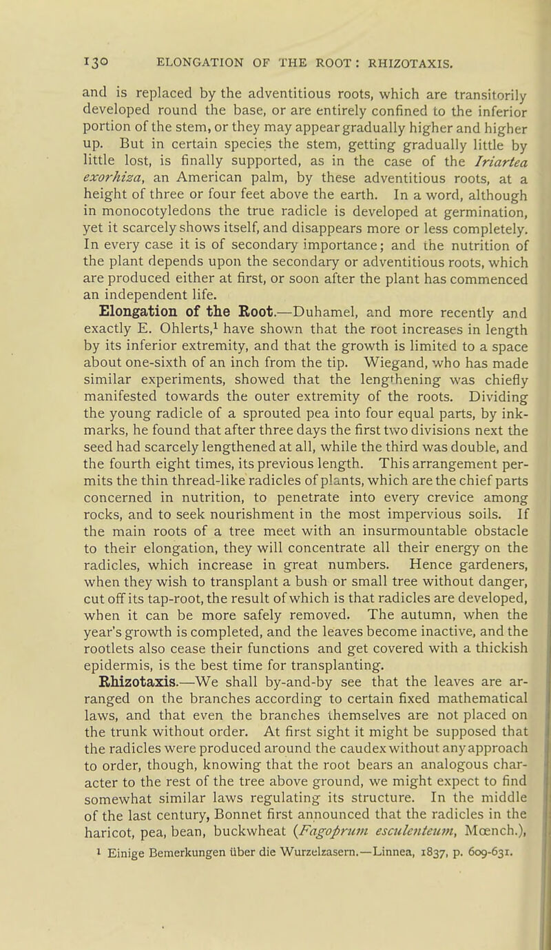 and is replaced by the adventitious roots, which are transitorily developed round the base, or are entirely confined to the inferior portion of the stem, or they may appear gradually higher and higher up. But in certain species the stem, getting gradually little by little lost, is finally supported, as in the case of the Iriartea exorhiza, an American palm, by these adventitious roots, at a height of three or four feet above the earth. In a word, although in monocotyledons the true radicle is developed at germination, yet it scarcely shows itself, and disappears more or less completely. In every case it is of secondary importance; and the nutrition of the plant depends upon the secondary or adventitious roots, which are produced either at first, or soon after the plant has commenced an independent life. Elongation of the Boot.—Duhamel, and more recently and exactly E. Ohlerts,^ have shown that the root increases in length by its inferior extremity, and that the growth is limited to a space about one-sixth of an inch from the tip. Wiegand, who has made similar experiments, showed that the lengthening was chiefly manifested towards the outer extremity of the roots. Dividing the young radicle of a sprouted pea into four equal parts, by ink- marks, he found that after three days the first two divisions next the seed had scarcely lengthened at all, while the third was double, and the fourth eight times, its previous length. This arrangement per- mits the thin thread-like radicles of plants, which are the chief parts concerned in nutrition, to penetrate into every crevice among rocks, and to seek nourishment in the most impervious soils. If the main roots of a tree meet with an insurmountable obstacle to their elongation, they will concentrate all their energy on the radicles, which increase in great numbers. Hence gardeners, when they wish to transplant a bush or small tree without danger, cut off its tap-root, the result of which is that radicles are developed, when it can be more safely removed. The autumn, when the year's growth is completed, and the leaves become inactive, and the rootlets also cease their functions and get covered with a thickish epidermis, is the best time for transplanting. Rhizotaxis.—We shall by-and-by see that the leaves are ar- ranged on the branches according to certain fixed mathematical laws, and that even the branches themselves are not placed on the trunk without order. At first sight it might be supposed that the radicles were produced ai-ound the caudex without any approach to order, though, knowing that the root bears an analogous char- acter to the rest of the tree above ground, we might expect to find somewhat similar laws regulating its structure. In the middle of the last century, Bonnet first announced that the radicles in the haricot, pea, bean, buckwheat {Fagopnan esailciiteiun, Moench.), 1 Einige Bemerkungen tiber die Wurzelrasern,—Linnea, 1837, p. 609-631.