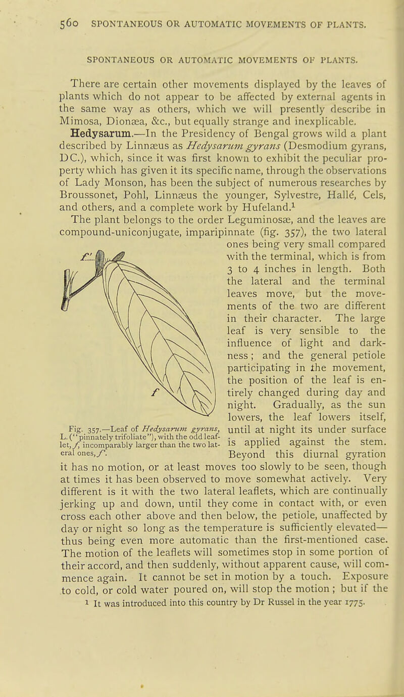 SPONTANEOUS OR AUTOMATIC MOVEMENTS OF PLANTS. There are certain other movements displayed by the leaves of plants which do not appear to be affected by external agents in the same way as others, which we will presently describe in Mimosa, Dionjea, &c., but equally strange and inexplicable. Hedysarum.—In the Presidency of Bengal grows wild a plant described by Linnaeus as Hedysarum gyrans (Desmodium gyrans, DC), which, since it was first known to exhibit the peculiar pro- perty which has given it its specific name, through the observations of Lady Monson, has been the subject of numerous researches by Broussonet, Pohl, Linnjeus the younger, Sylvestre, Halld, Cels, and others, and a complete work by Hufeland.^ The plant belongs to the order Leguminosae, and the leaves are compound-uniconjugate, imparipinnate (fig. 357), the two lateral ones being very small compared with the terminal, which is from 3 to 4 inches in length. Both the lateral and the terminal leaves move, but the move- ments of the two are different in their character. The large leaf is very sensible to the influence of light and dark- ness ; and the general petiole participating in the movement, the position of the leaf is en- tirely changed during day and night. Gradually, as the sun lowers, the leaf lowers itself, until at night its under surface is applied against the stem. Beyond this diurnal gyration it has no motion, or at least moves too slowly to be seen, though at times it has been observed to move somewhat actively. Very different is it with the two lateral leaflets, which are continually jerking up and down, until they come in contact with, or even cross each other above and then below, the petiole, unaffected by day or night so long as the temperature is sufficiently elevated— thus being even more automatic than the first-mentioned case. The motion of the leaflets will sometimes stop in some portion of their accord, and then suddenly, without apparent cause, will com- mence again. It cannot be set in motion by a touch. Exposure to cold, or cold water poured on, will stop the motion ; but if the 1 It was introduced into this country by Dr Russel in the year 1775. Fig. 357.^—Leaf of Hedysarum gyrans, L. (pinnately trifoliate), with the oddleaf- let,/ incomparably larger than the two lat- eral ones,/'.